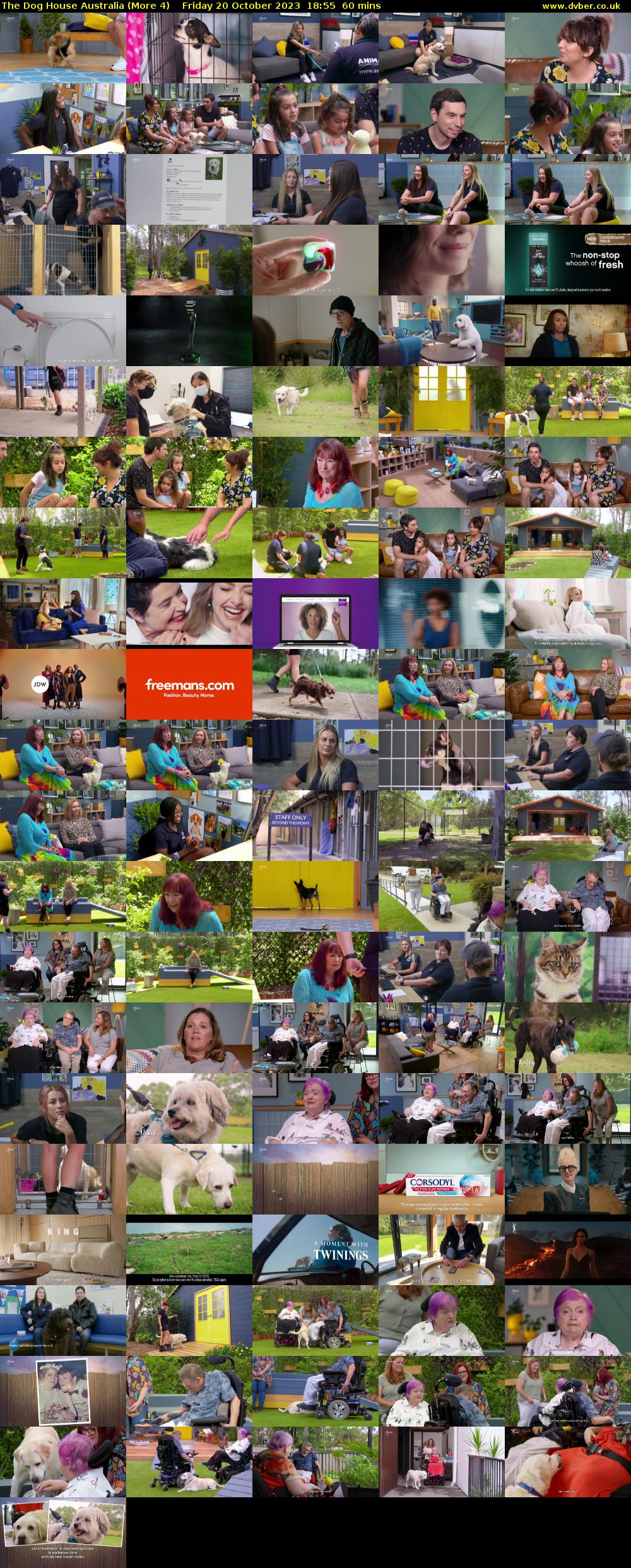The Dog House Australia (More 4) Friday 20 October 2023 18:55 - 19:55