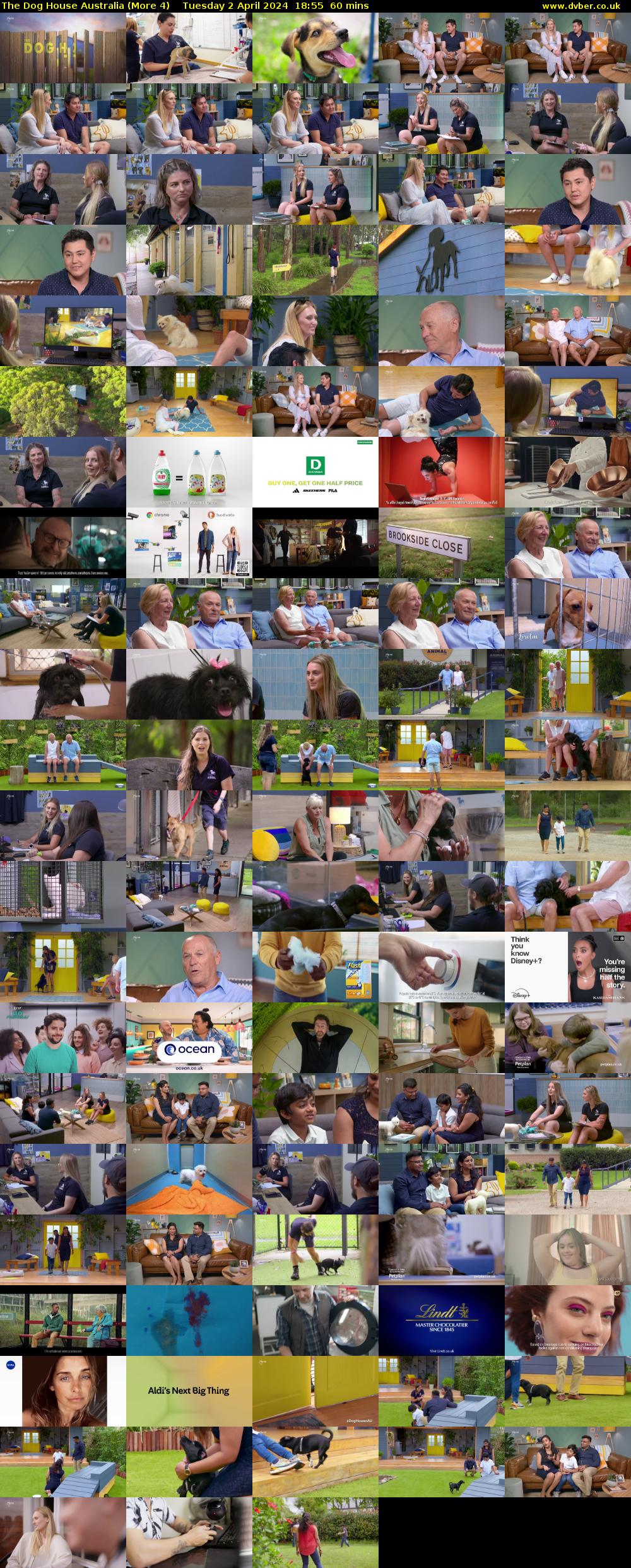 The Dog House Australia (More 4) Tuesday 2 April 2024 18:55 - 19:55