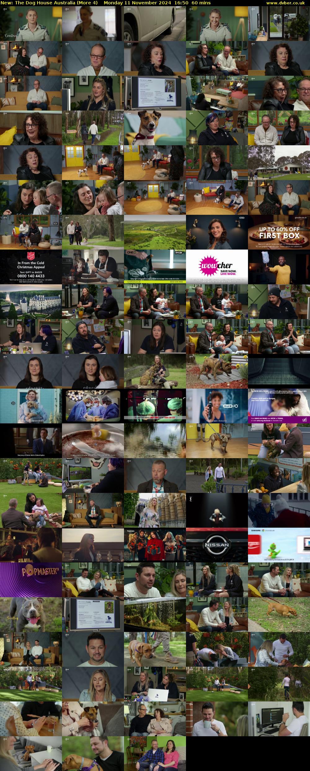 The Dog House Australia (More 4) Monday 11 November 2024 16:50 - 17:50