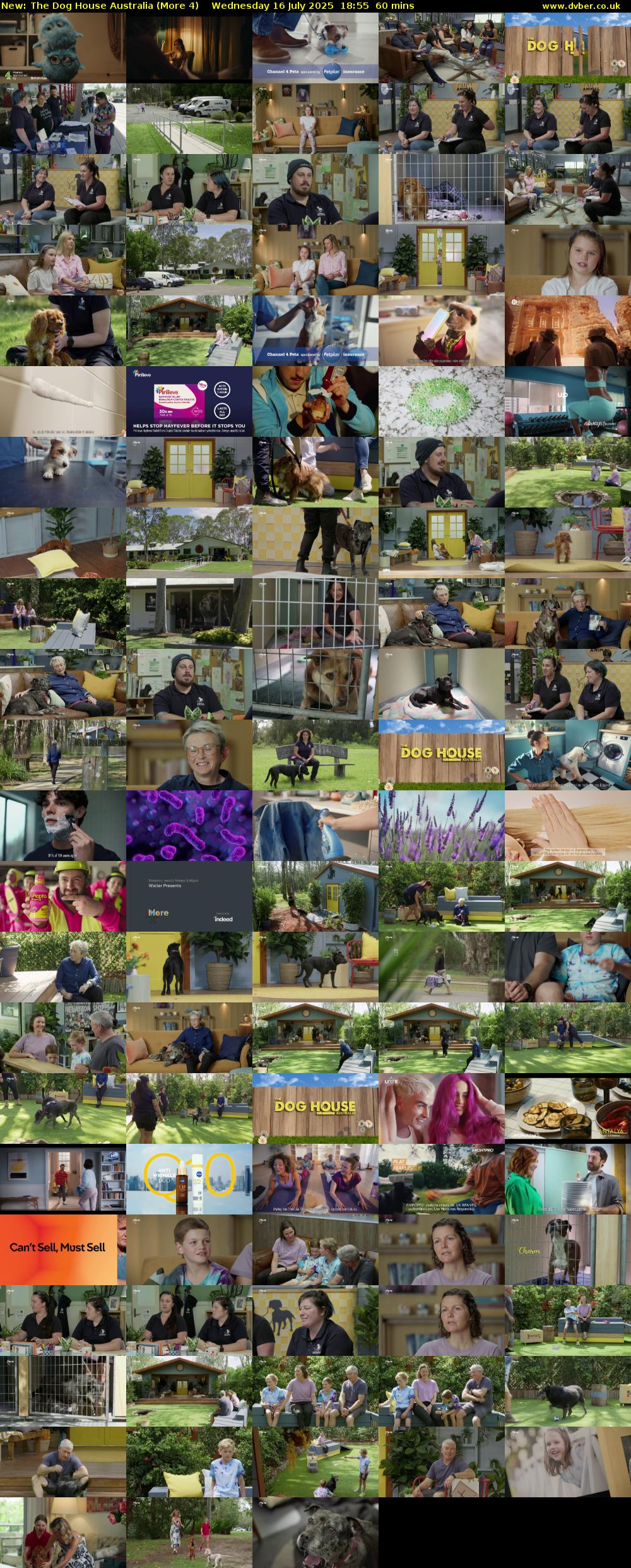 The Dog House Australia (More 4) Wednesday 16 July 2025 18:55 - 19:55