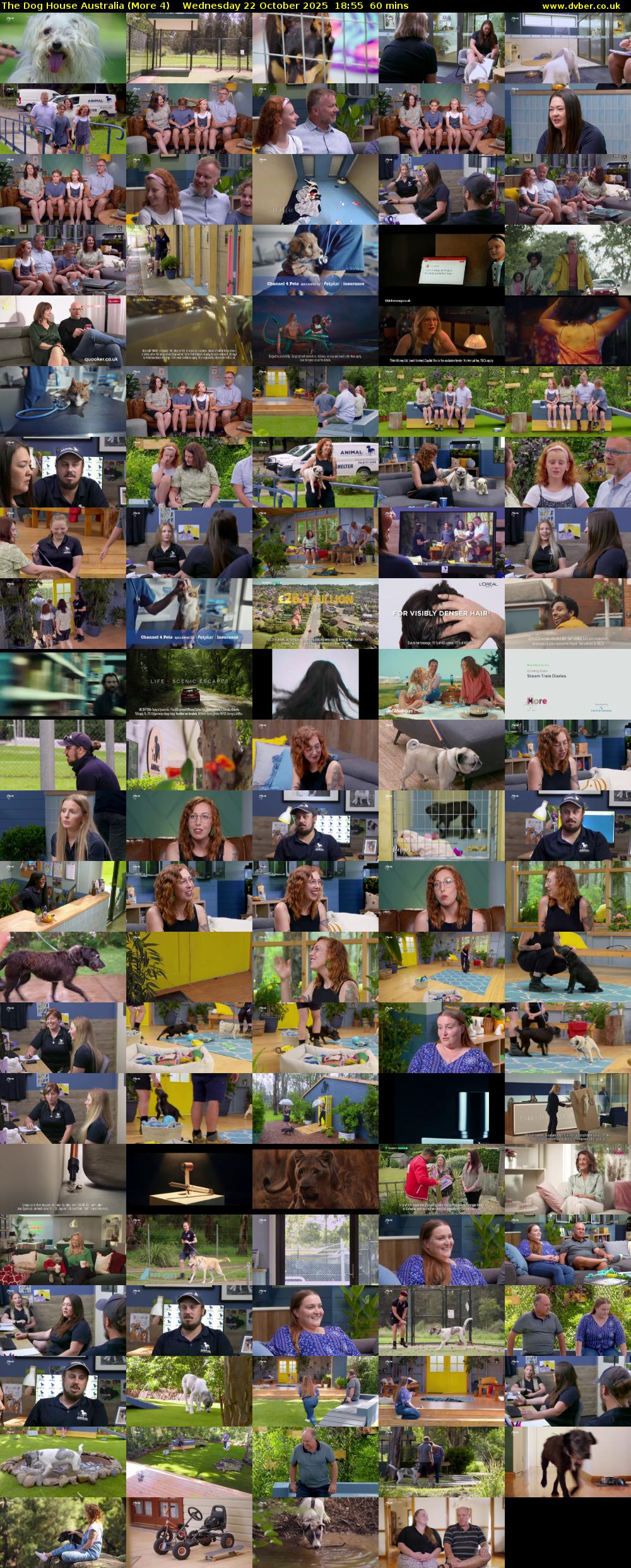 The Dog House Australia (More 4) Wednesday 22 October 2025 18:55 - 19:55
