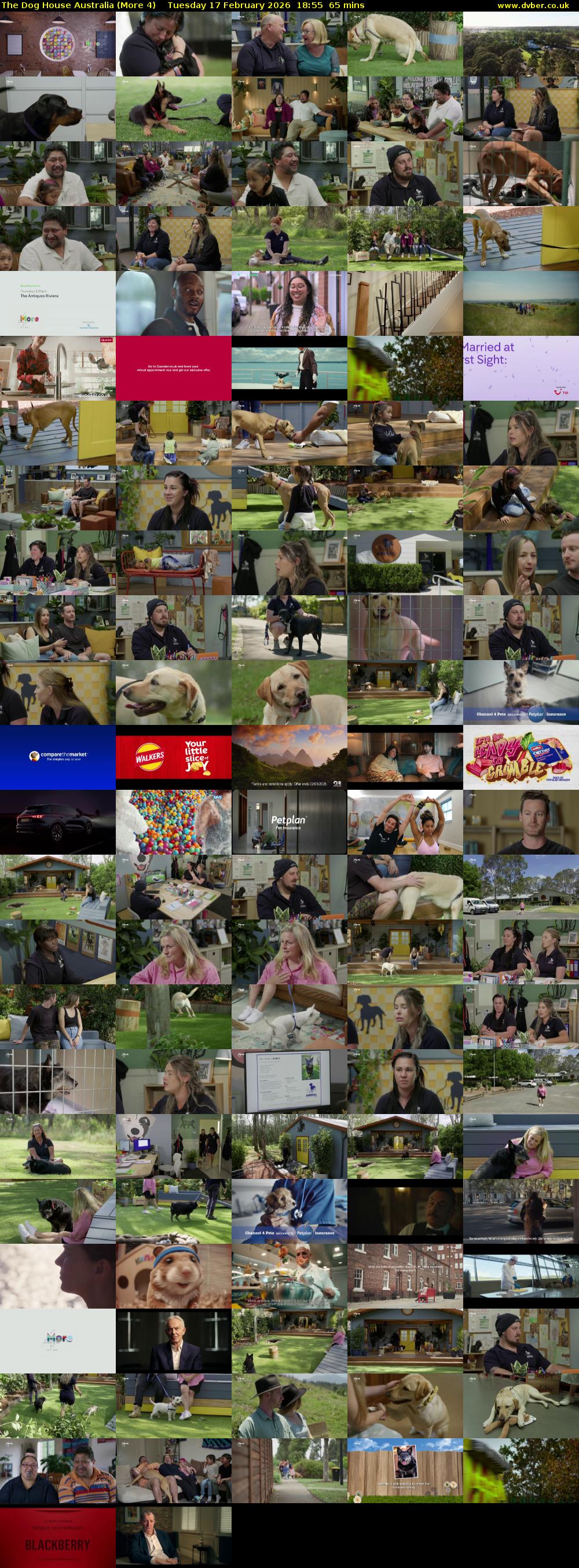 The Dog House Australia (More 4) Tuesday 17 February 2026 18:55 - 20:00