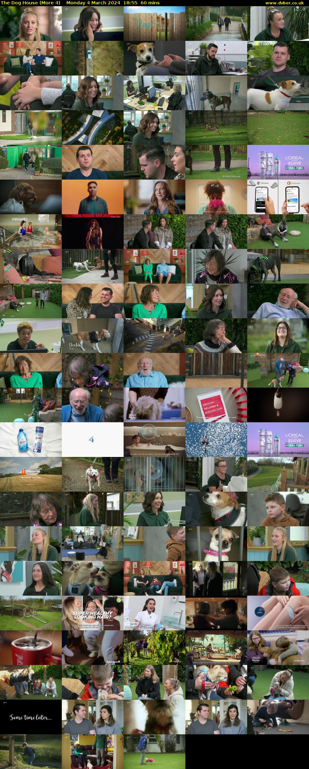 The Dog House (More 4) Monday 4 March 2024 18:55 - 19:55