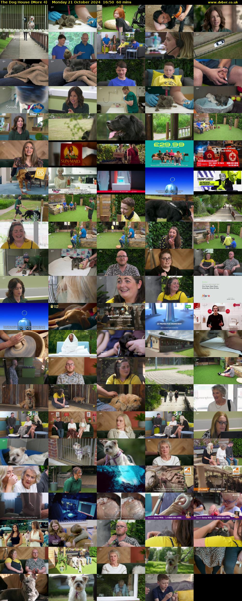 The Dog House (More 4) Monday 21 October 2024 16:50 - 17:50