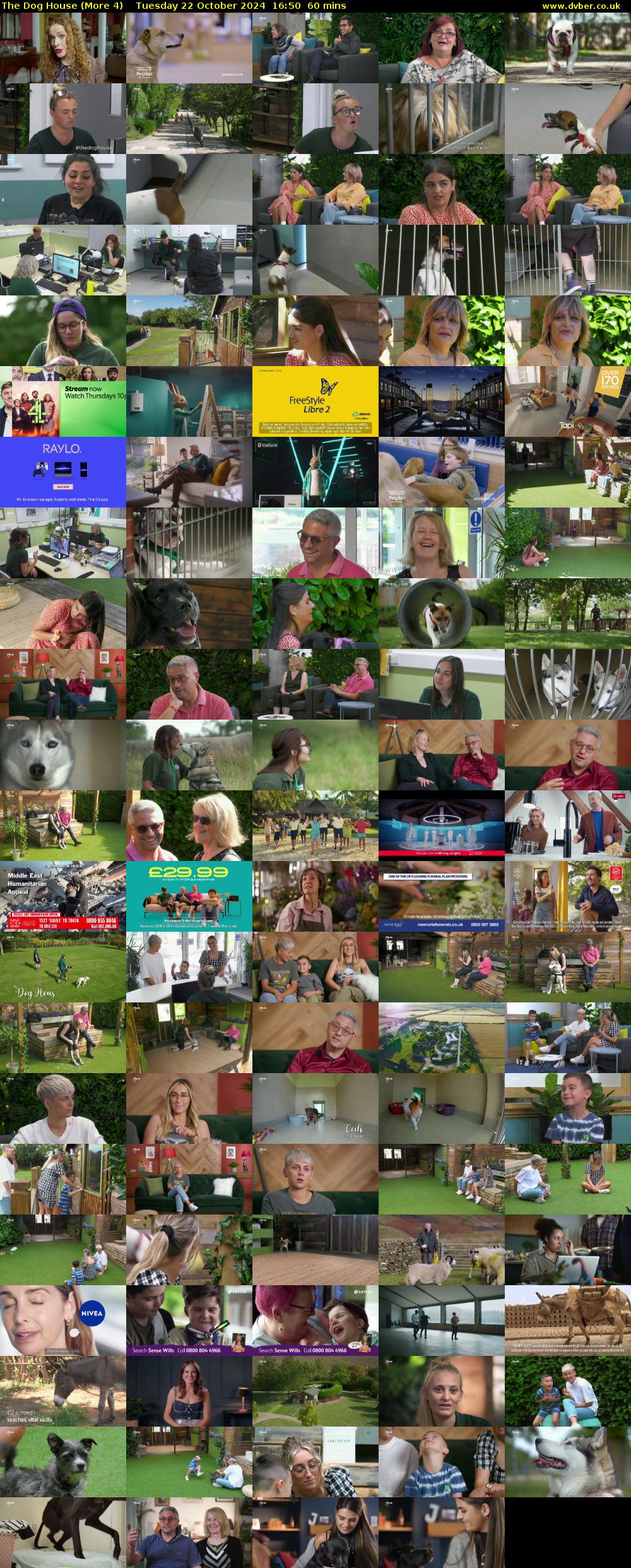 The Dog House (More 4) Tuesday 22 October 2024 16:50 - 17:50