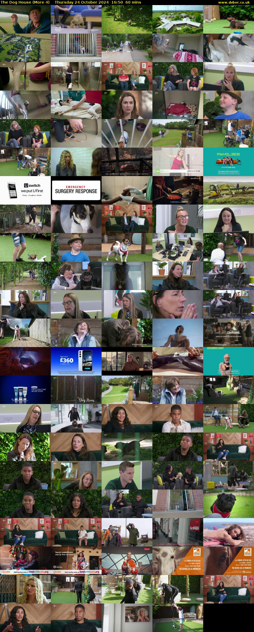 The Dog House (More 4) Thursday 24 October 2024 16:50 - 17:50