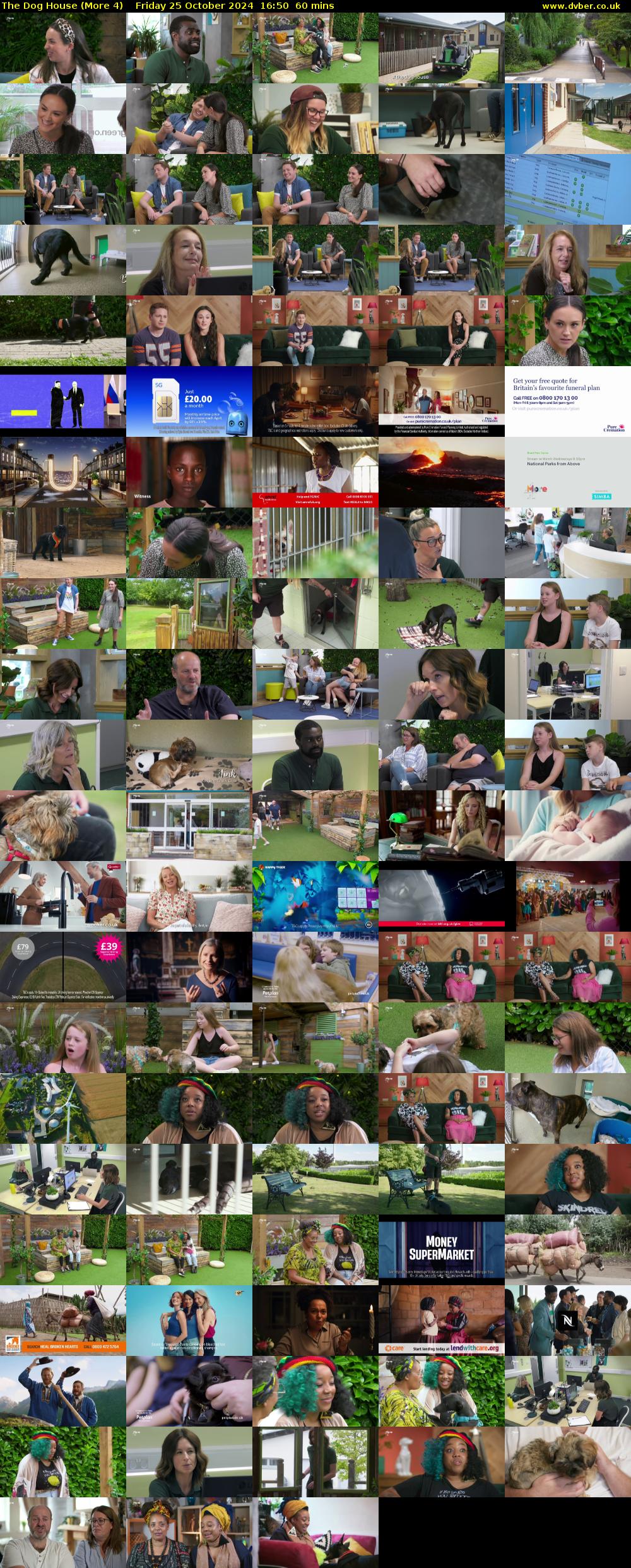 The Dog House (More 4) Friday 25 October 2024 16:50 - 17:50