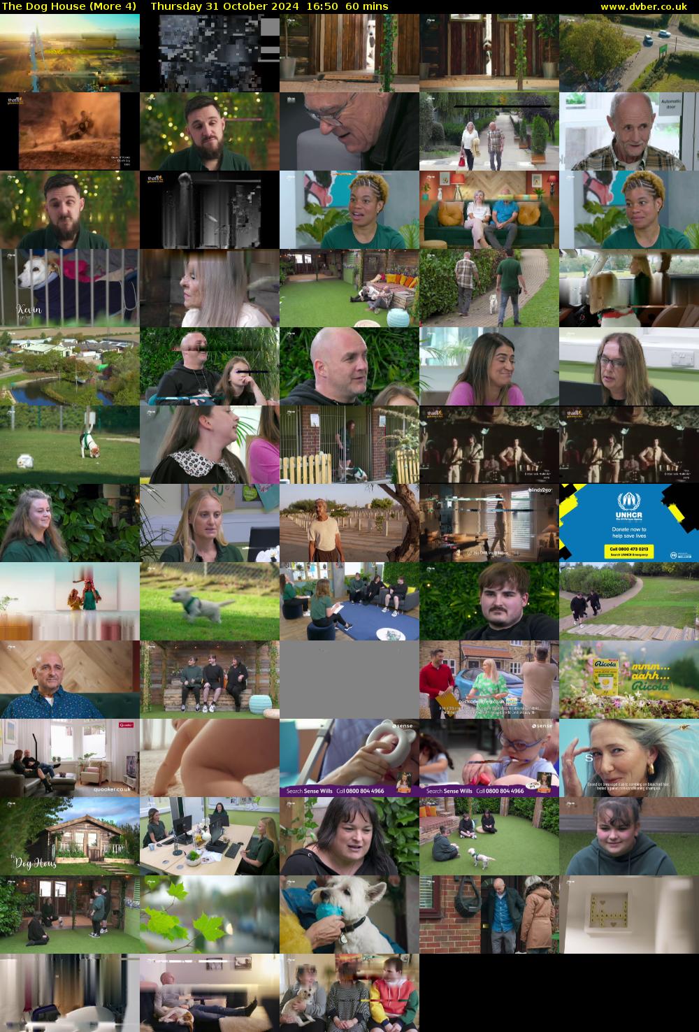 The Dog House (More 4) Thursday 31 October 2024 16:50 - 17:50