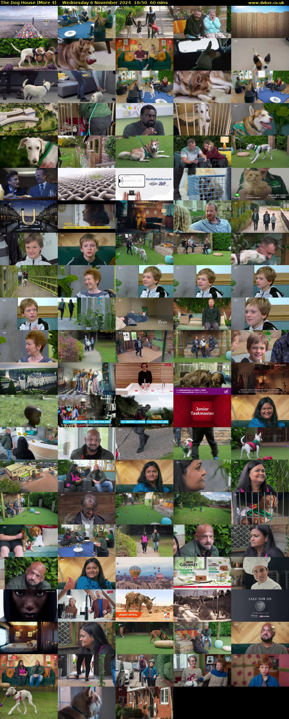 The Dog House (More 4) Wednesday 6 November 2024 16:50 - 17:50