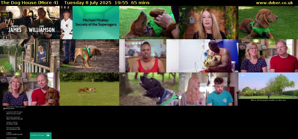 The Dog House (More 4) Tuesday 8 July 2025 19:55 - 21:00