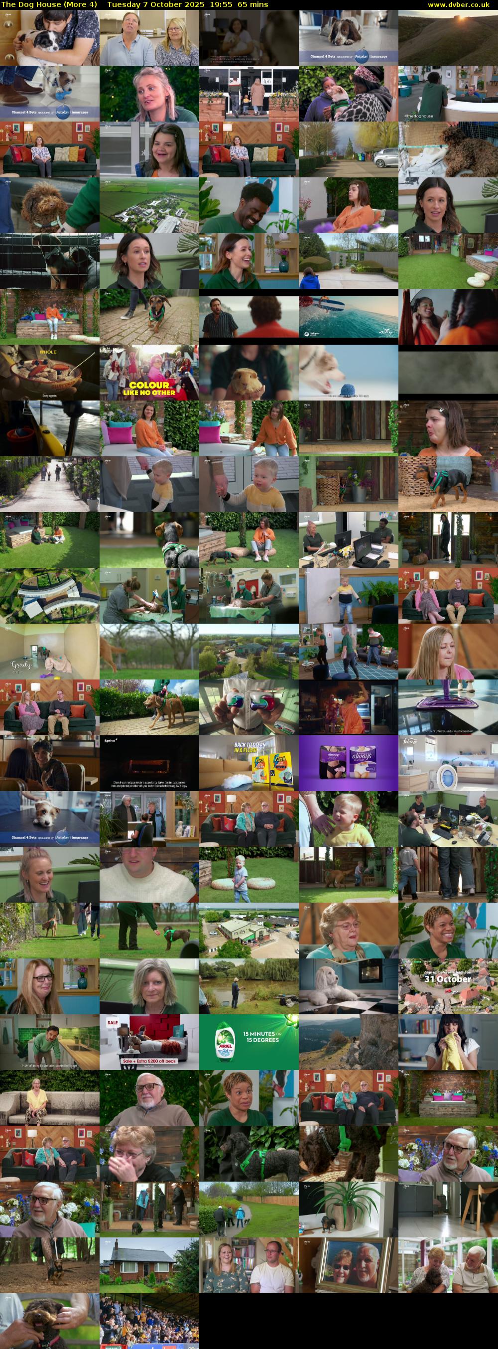 The Dog House (More 4) Tuesday 7 October 2025 19:55 - 21:00