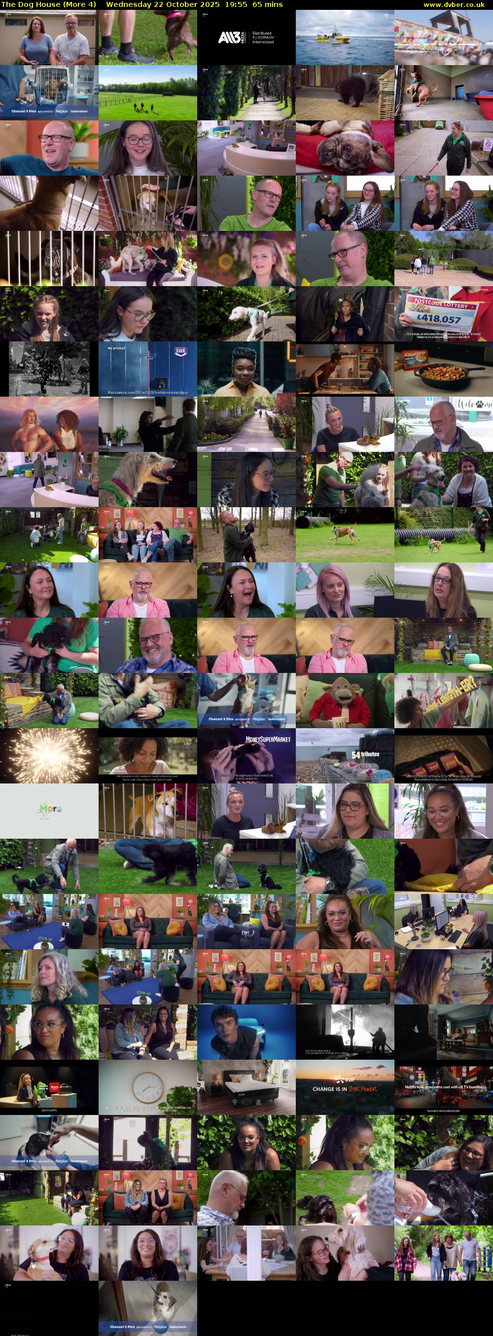 The Dog House (More 4) Wednesday 22 October 2025 19:55 - 21:00