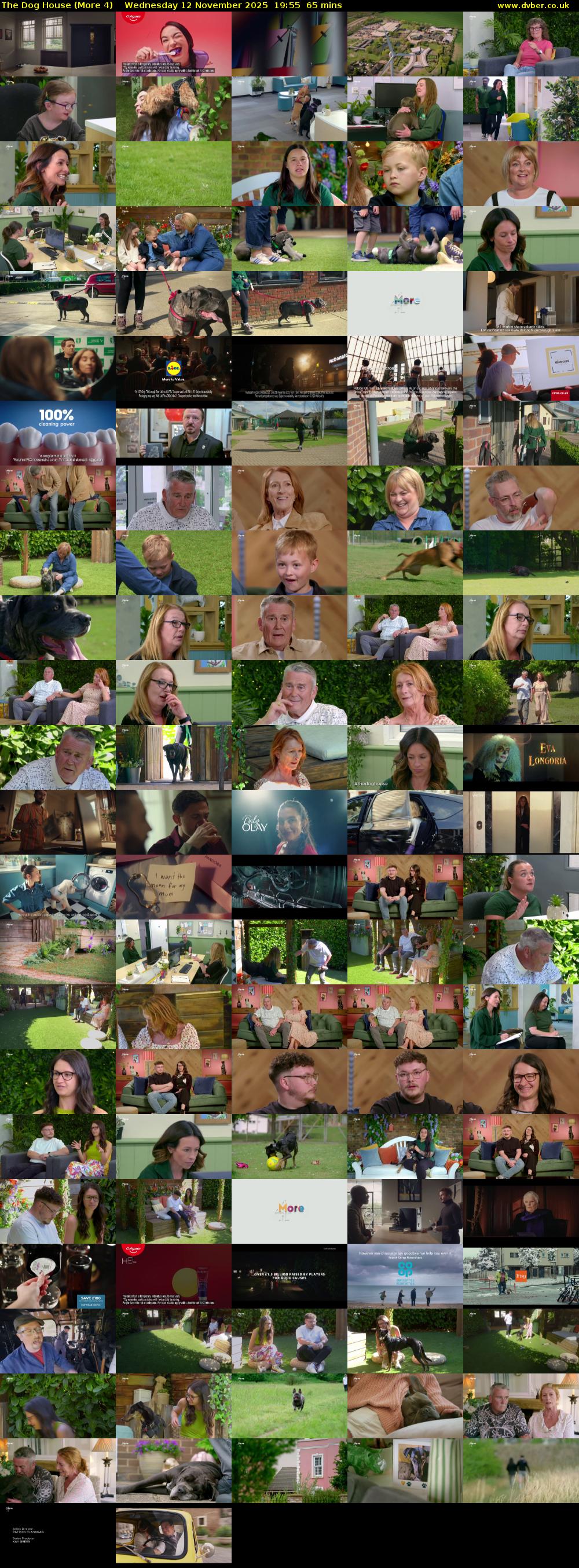 The Dog House (More 4) Wednesday 12 November 2025 19:55 - 21:00