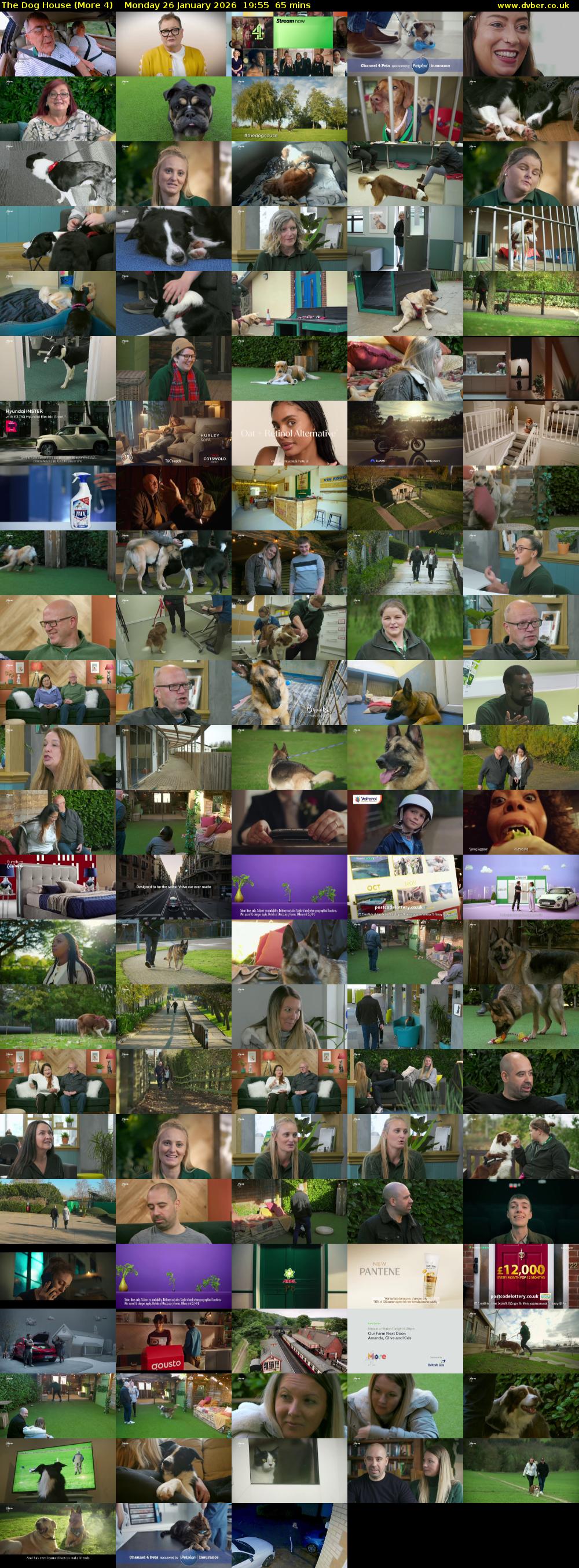 The Dog House (More 4) Monday 26 January 2026 19:55 - 21:00