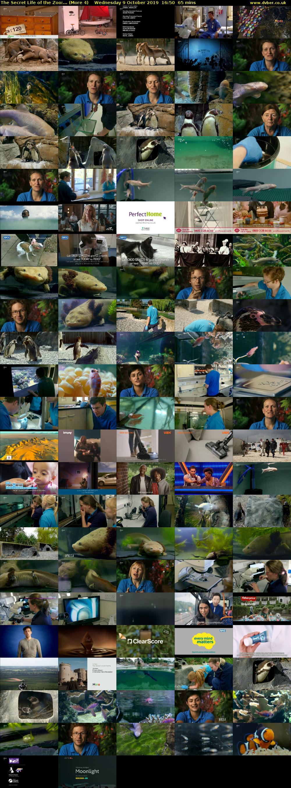 The Secret Life of the Zoo:... (More 4) Wednesday 9 October 2019 16:50 - 17:55