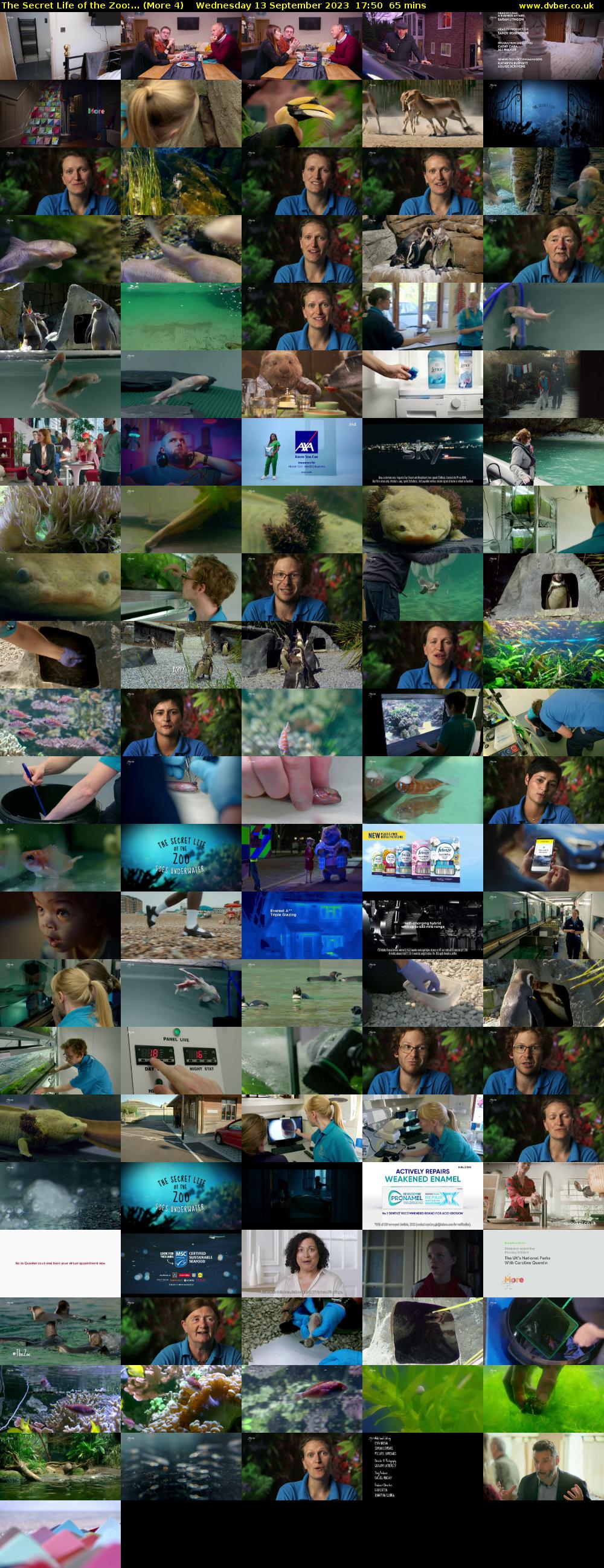 The Secret Life of the Zoo:... (More 4) Wednesday 13 September 2023 17:50 - 18:55