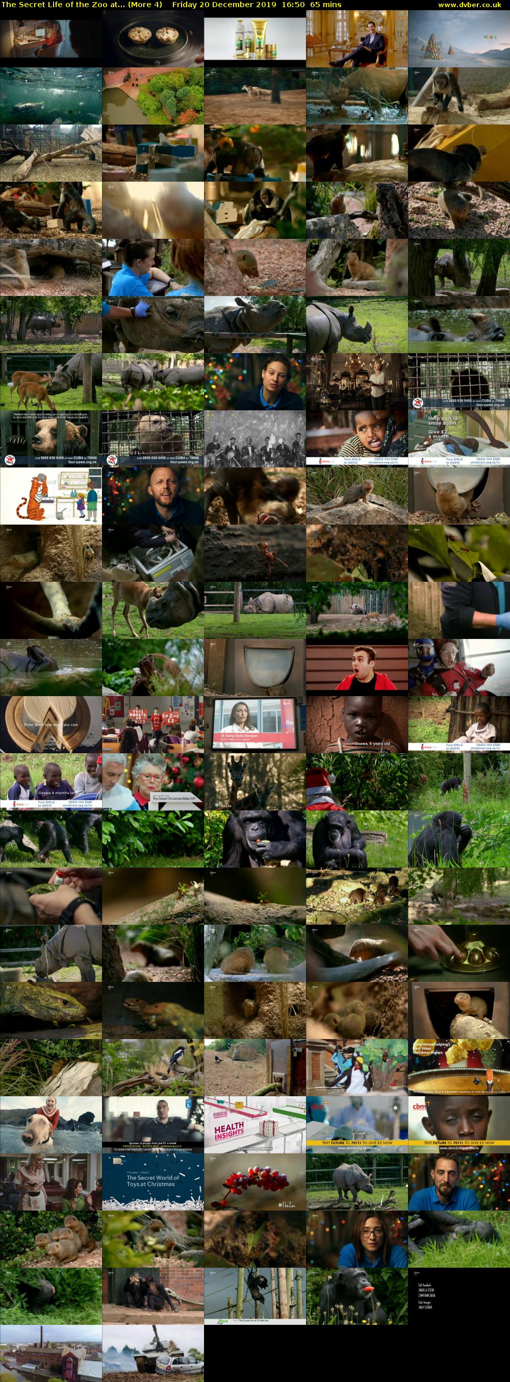 The Secret Life of the Zoo at... (More 4) Friday 20 December 2019 16:50 - 17:55