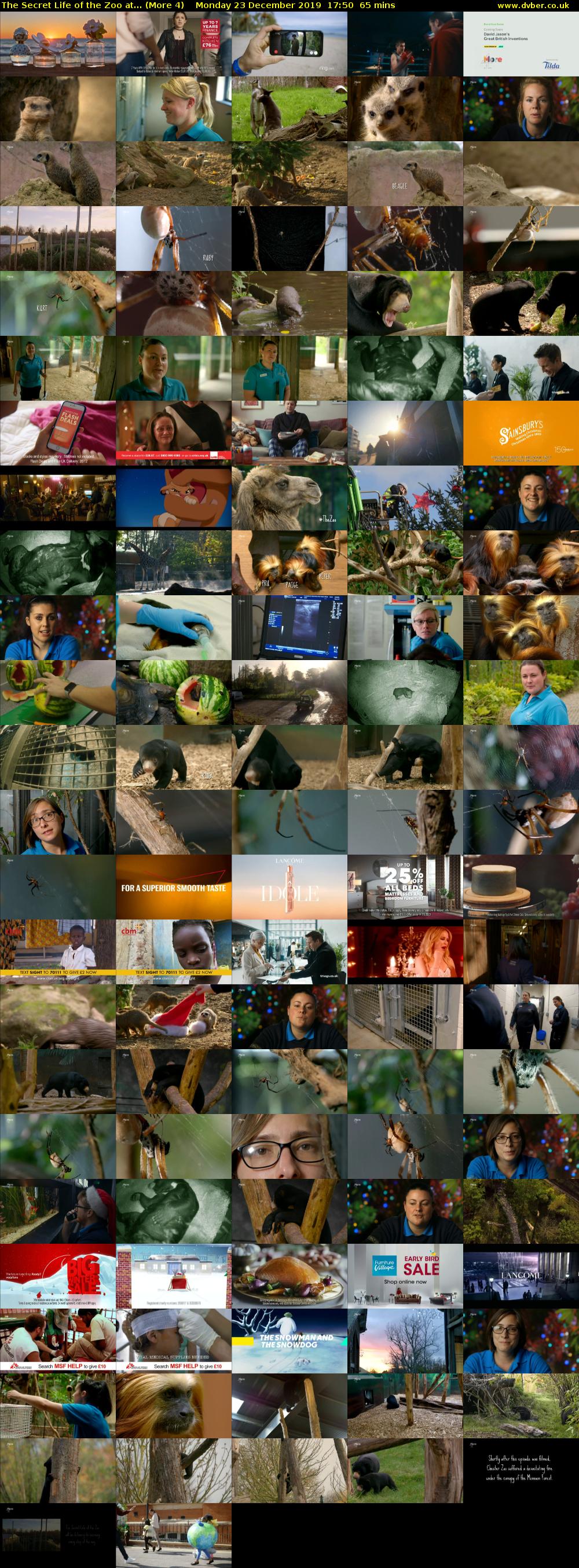 The Secret Life of the Zoo at... (More 4) Monday 23 December 2019 17:50 - 18:55