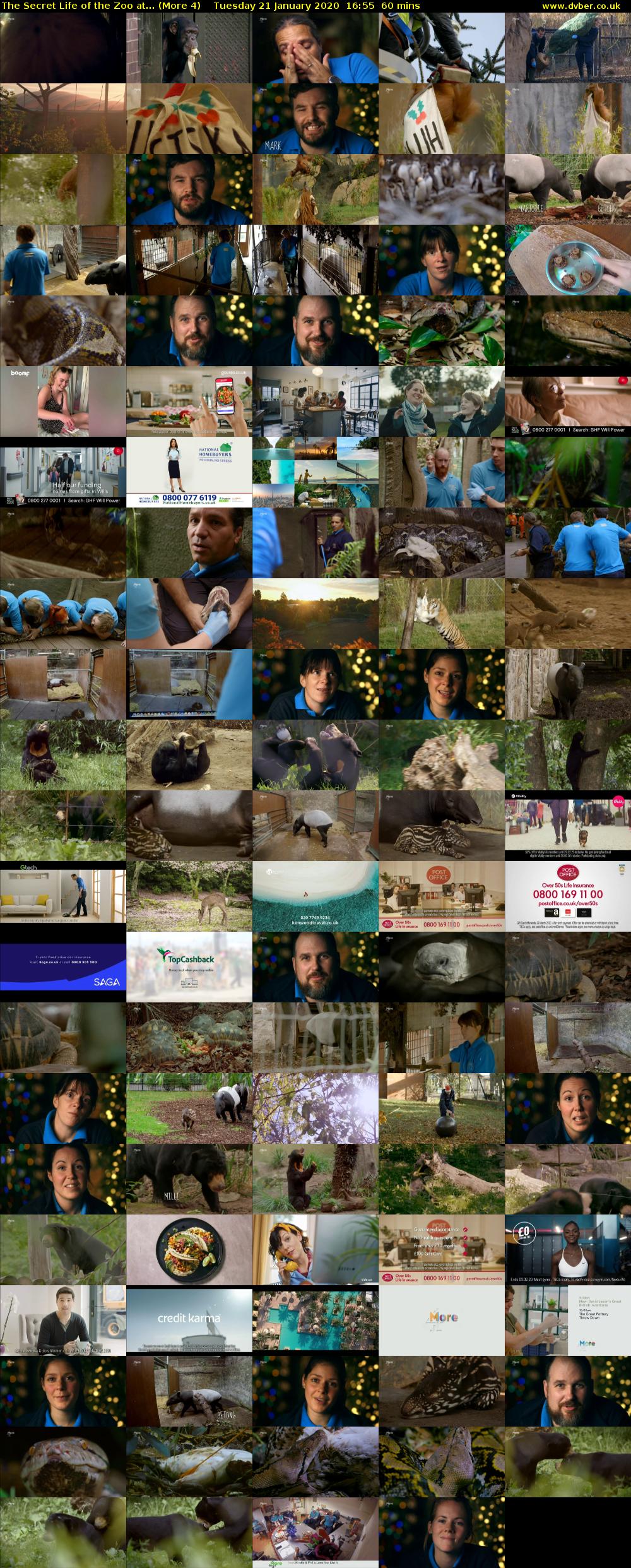 The Secret Life of the Zoo at... (More 4) Tuesday 21 January 2020 16:55 - 17:55