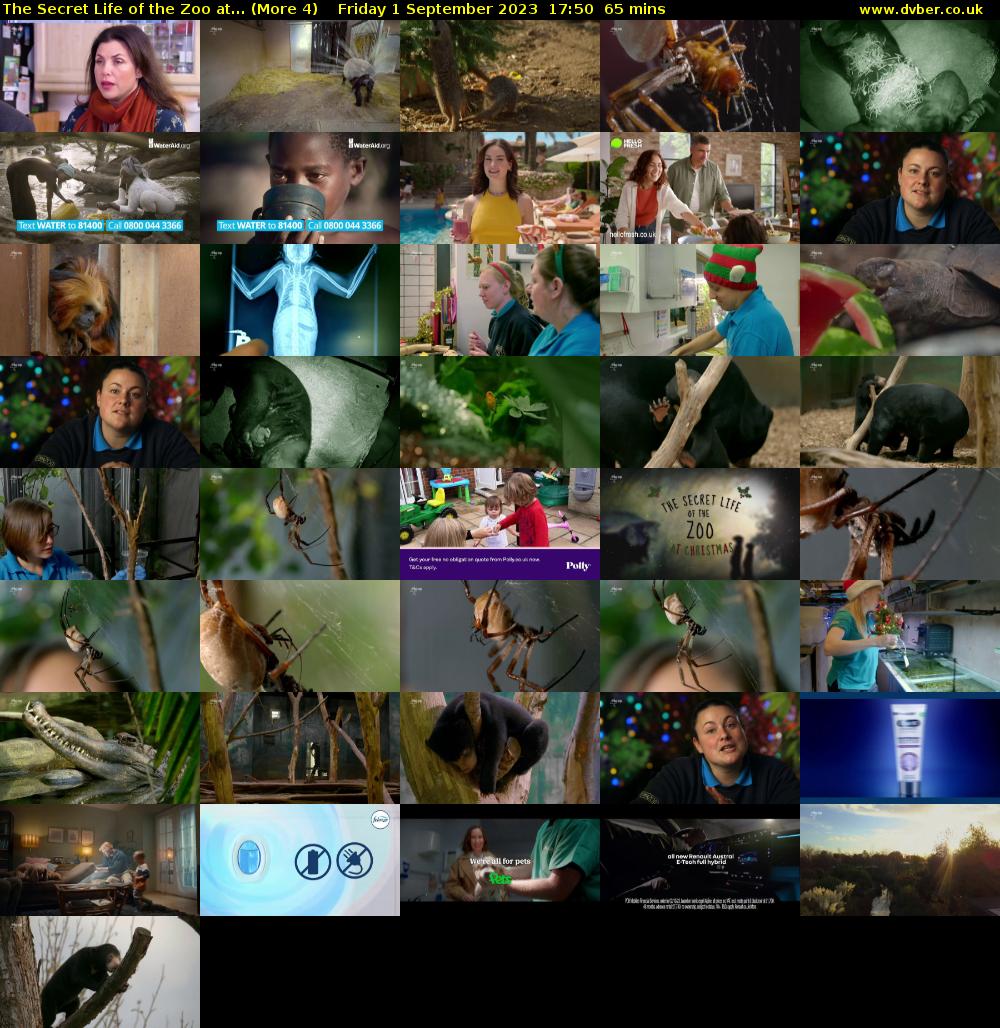 The Secret Life of the Zoo at... (More 4) Friday 1 September 2023 17:50 - 18:55