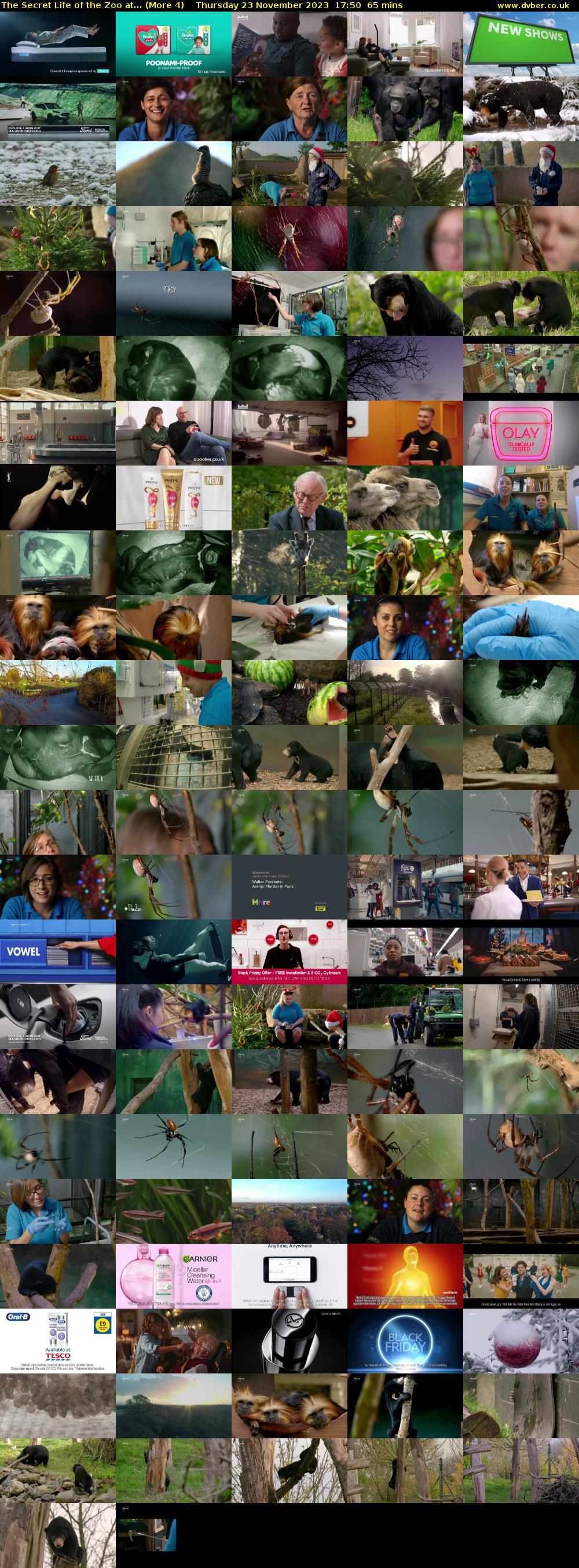 The Secret Life of the Zoo at... (More 4) Thursday 23 November 2023 17:50 - 18:55