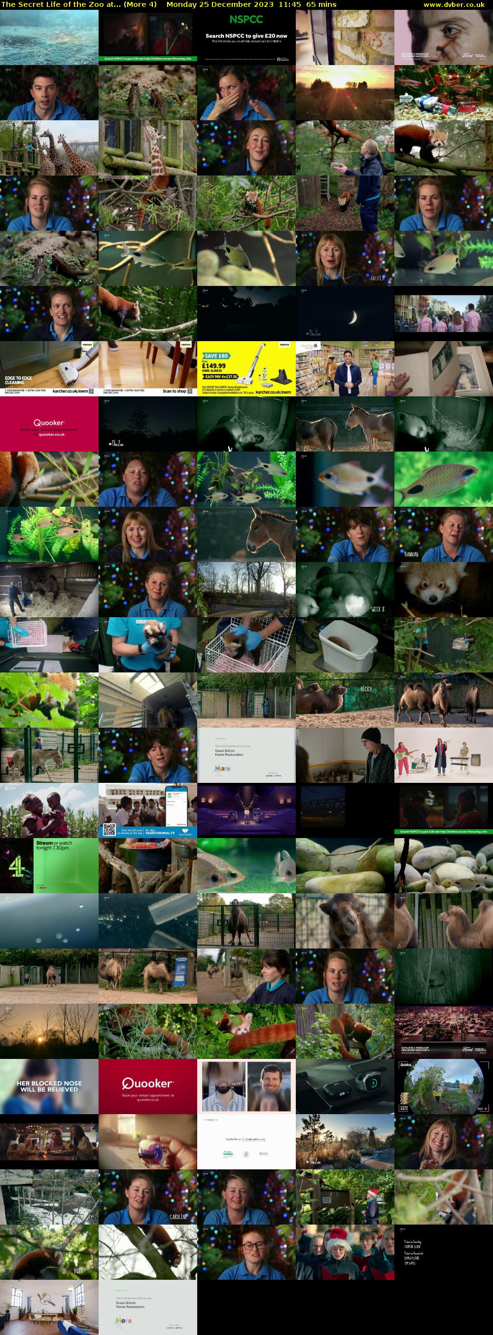 The Secret Life of the Zoo at... (More 4) Monday 25 December 2023 11:45 - 12:50