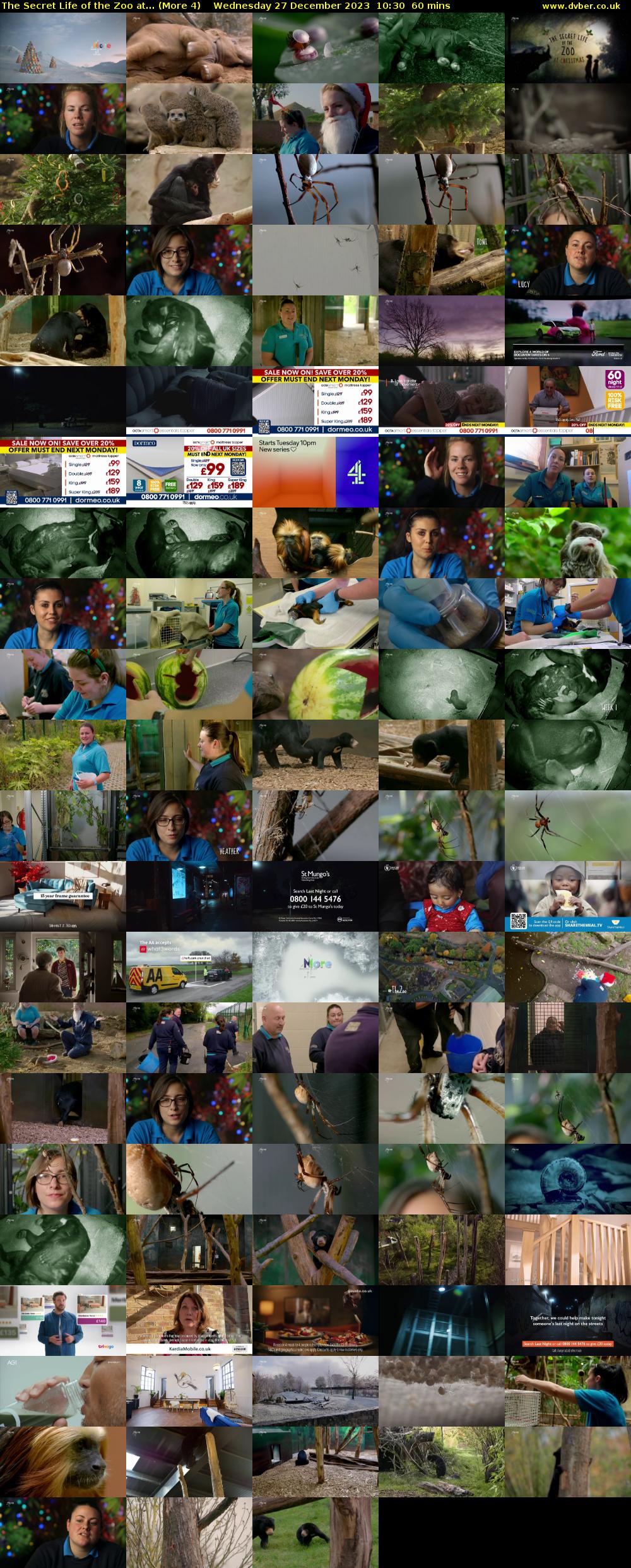 The Secret Life of the Zoo at... (More 4) Wednesday 27 December 2023 10:30 - 11:30