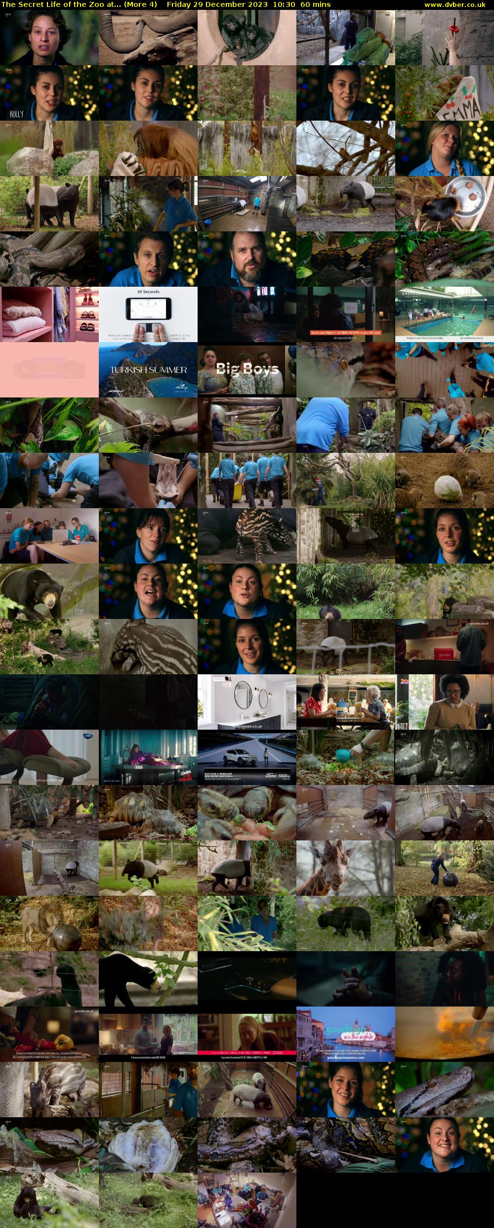 The Secret Life of the Zoo at... (More 4) Friday 29 December 2023 10:30 - 11:30