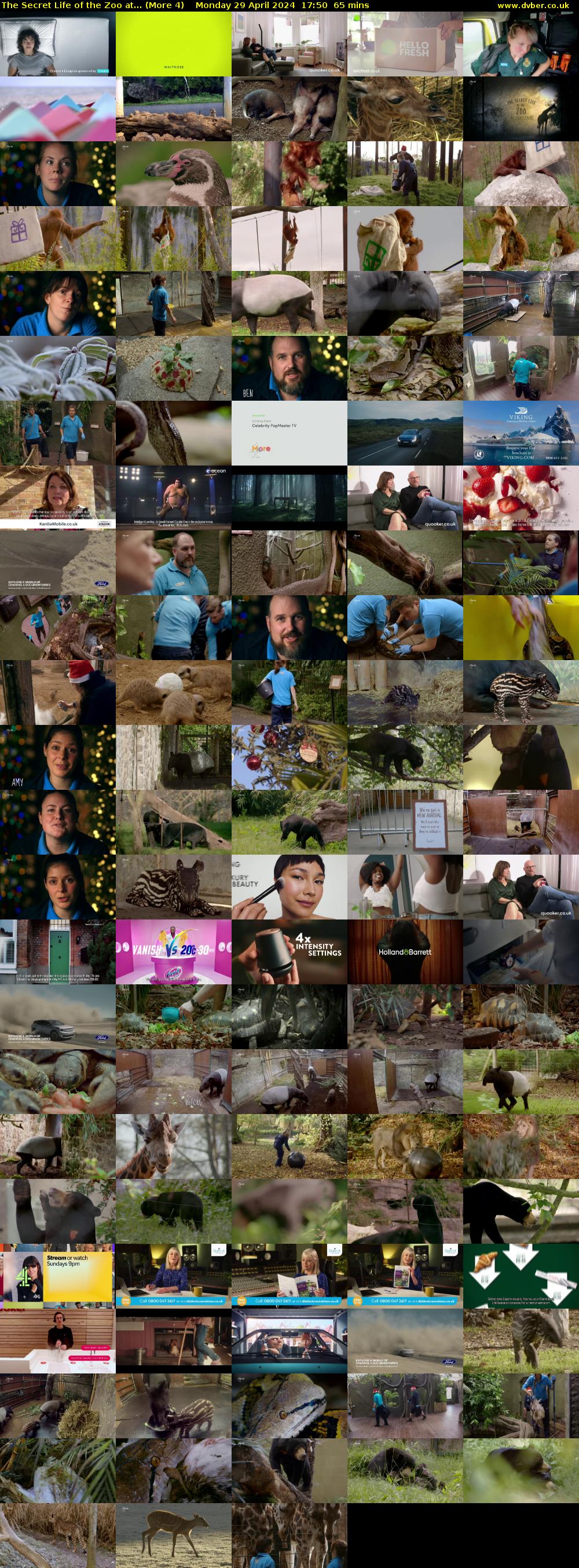 The Secret Life of the Zoo at... (More 4) Monday 29 April 2024 17:50 - 18:55