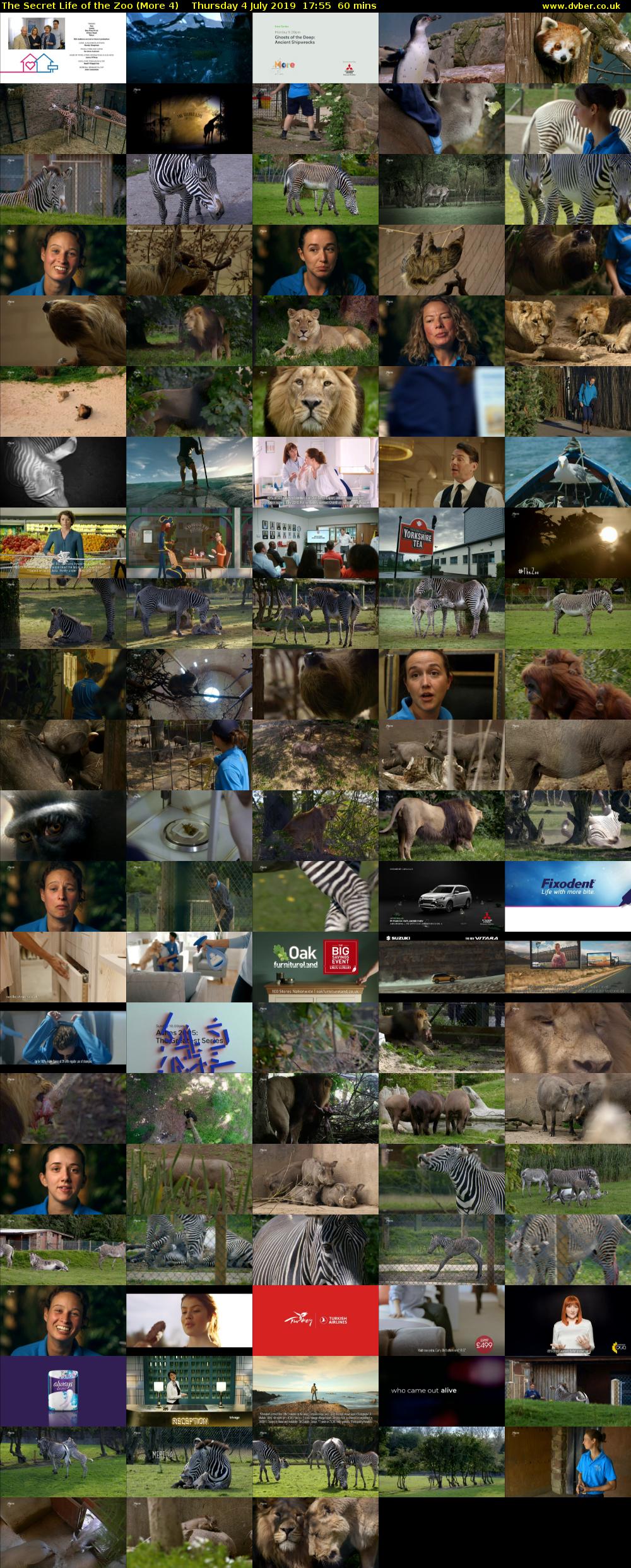 The Secret Life of the Zoo (More 4) Thursday 4 July 2019 17:55 - 18:55