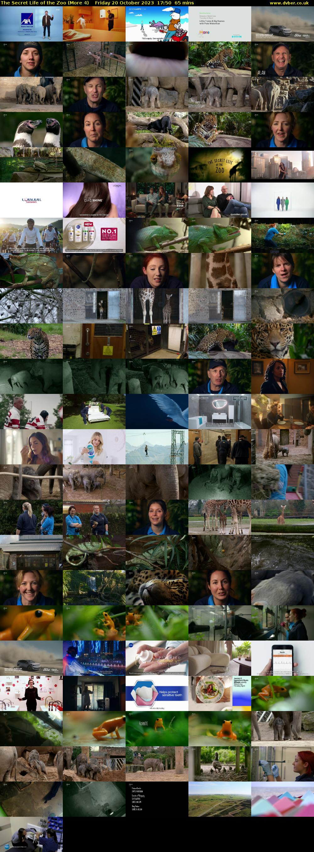 The Secret Life of the Zoo (More 4) Friday 20 October 2023 17:50 - 18:55