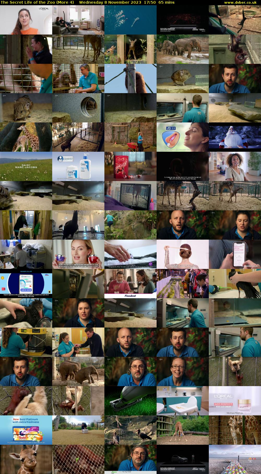 The Secret Life of the Zoo (More 4) Wednesday 8 November 2023 17:50 - 18:55