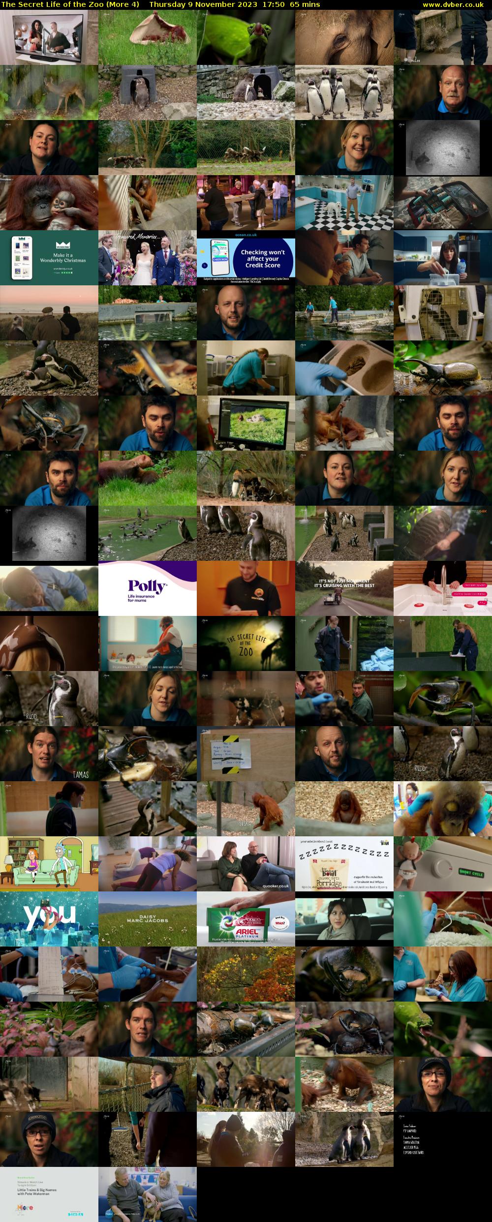 The Secret Life of the Zoo (More 4) Thursday 9 November 2023 17:50 - 18:55