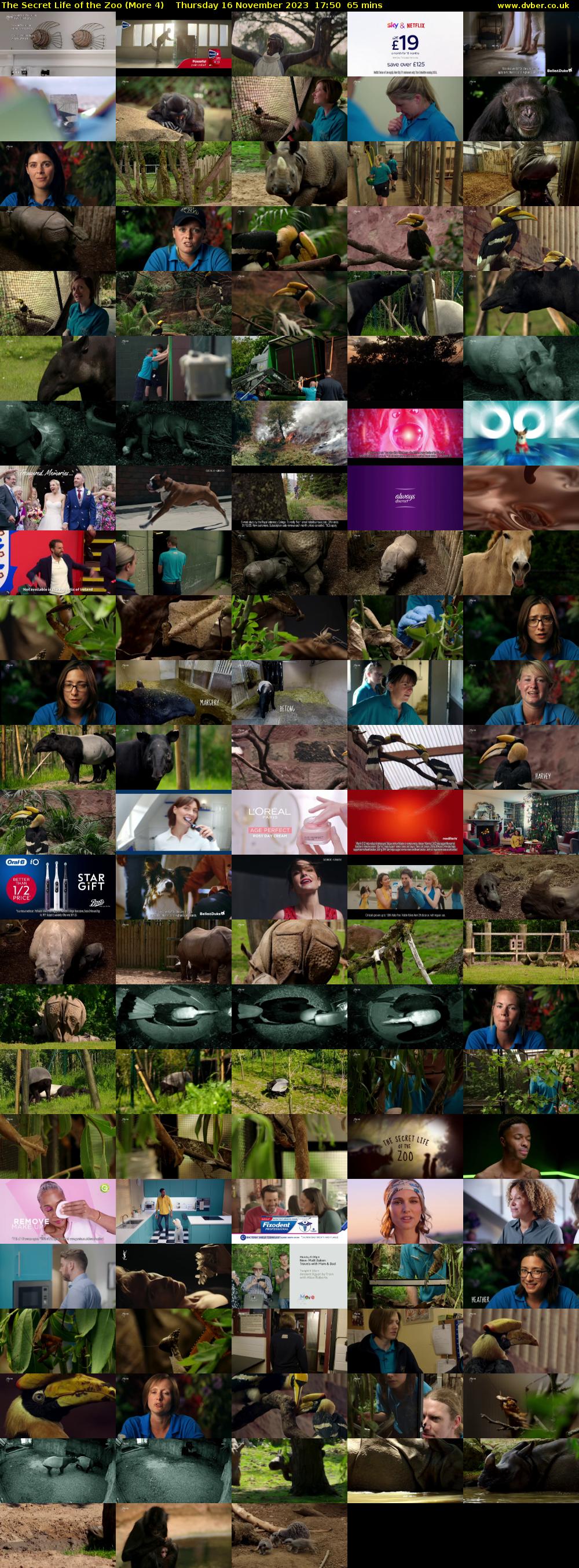 The Secret Life of the Zoo (More 4) Thursday 16 November 2023 17:50 - 18:55