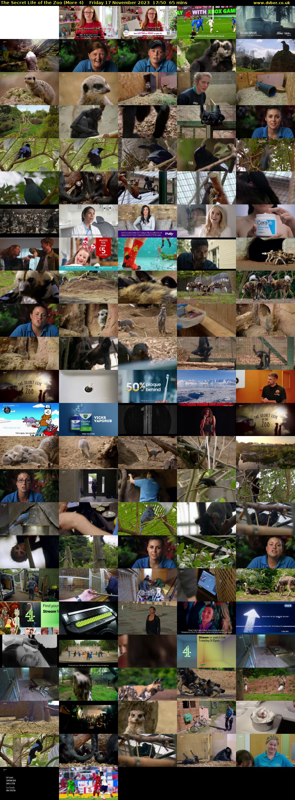 The Secret Life of the Zoo (More 4) Friday 17 November 2023 17:50 - 18:55