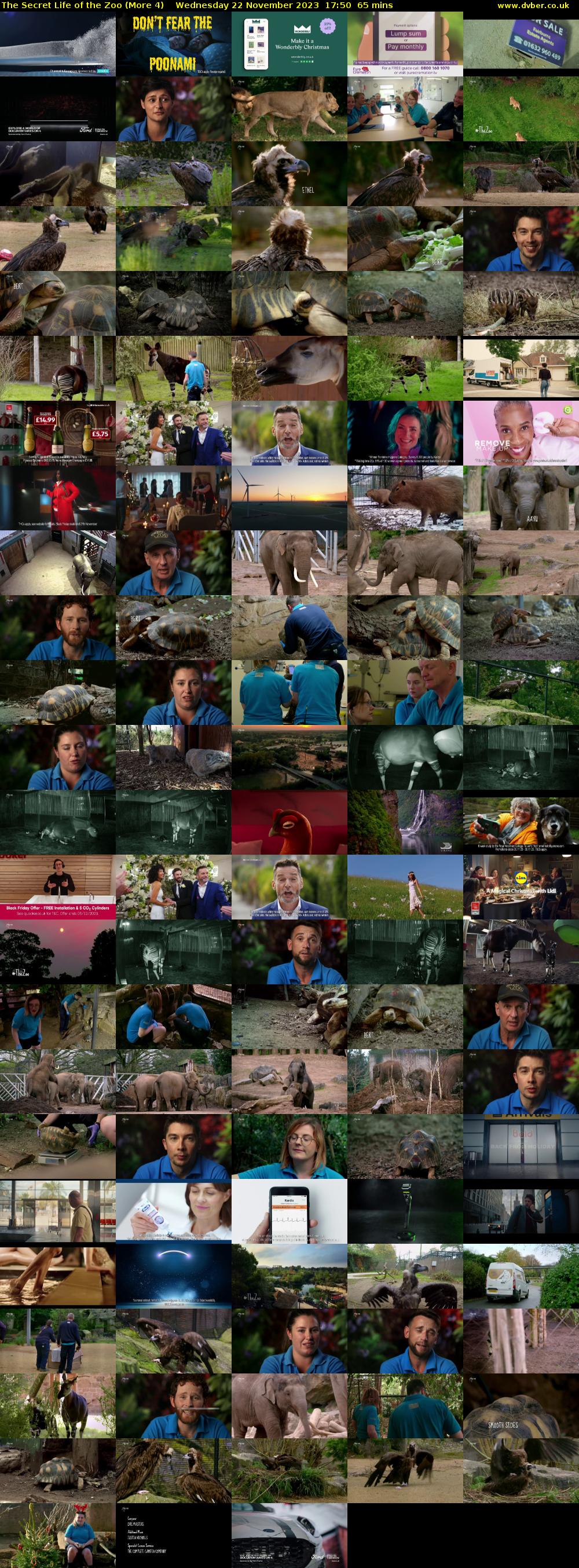 The Secret Life of the Zoo (More 4) Wednesday 22 November 2023 17:50 - 18:55