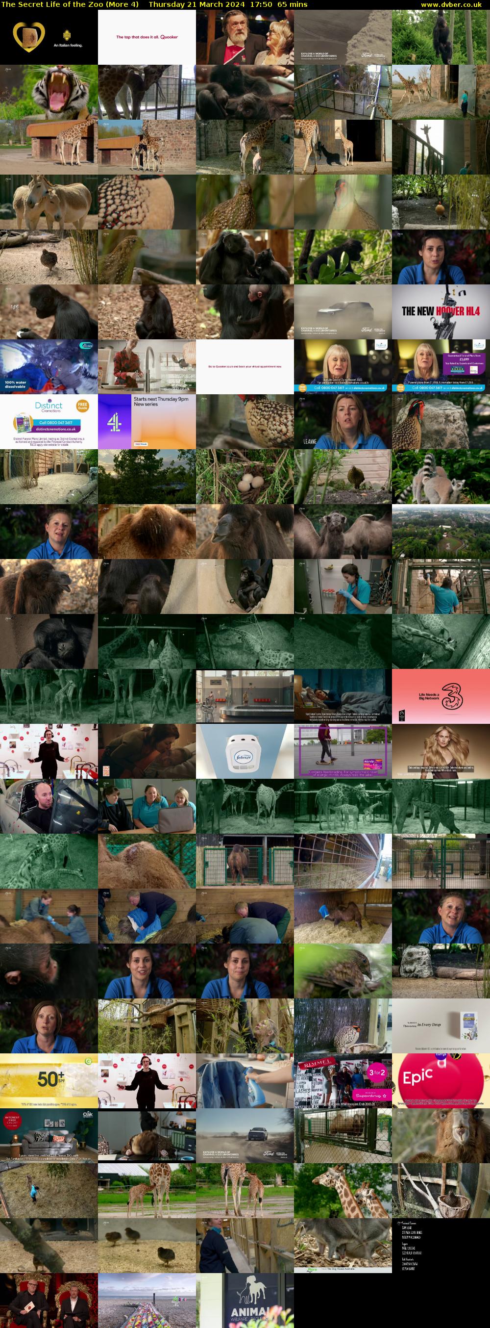 The Secret Life of the Zoo (More 4) Thursday 21 March 2024 17:50 - 18:55