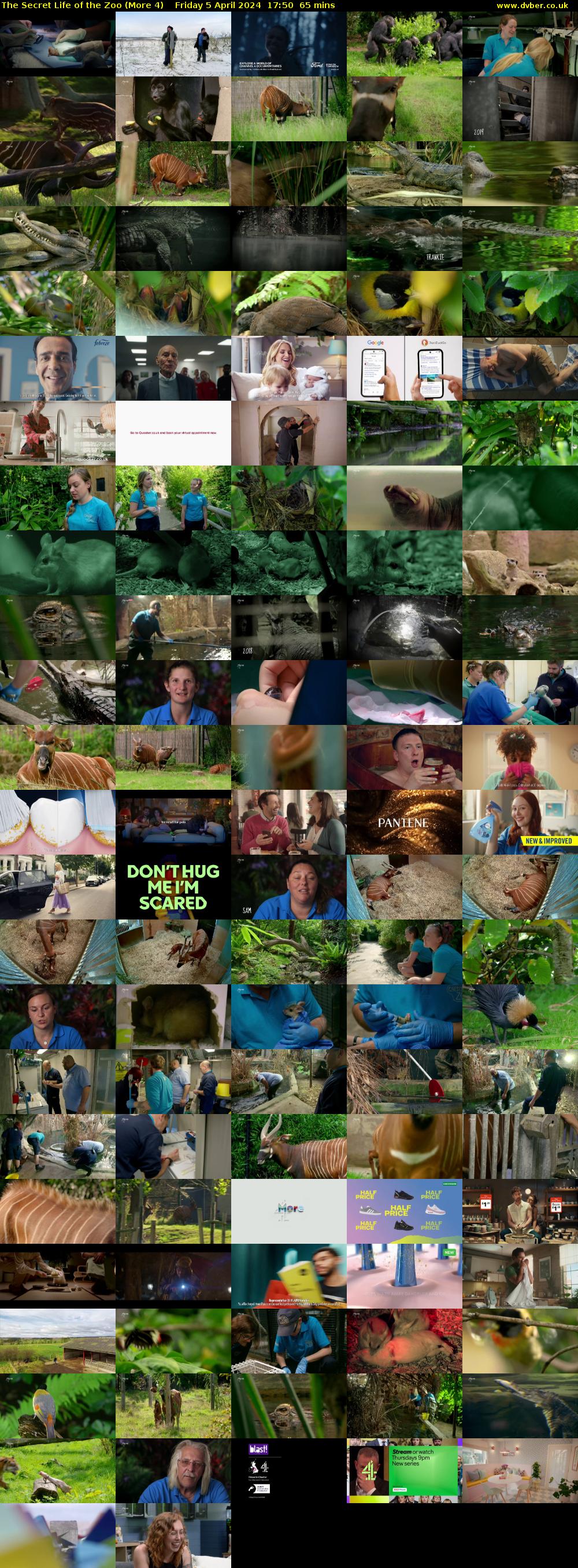 The Secret Life of the Zoo (More 4) Friday 5 April 2024 17:50 - 18:55