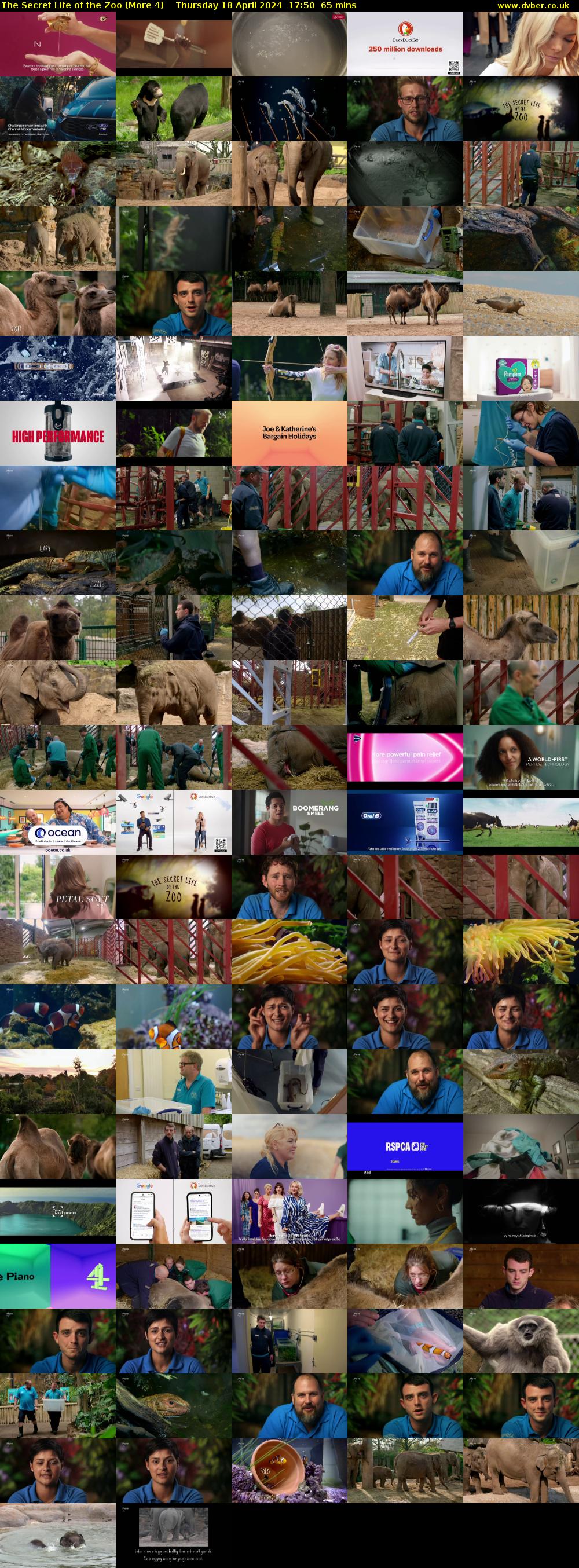 The Secret Life of the Zoo (More 4) Thursday 18 April 2024 17:50 - 18:55