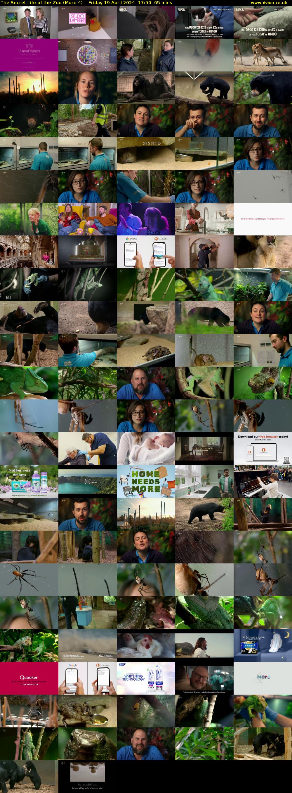 The Secret Life of the Zoo (More 4) Friday 19 April 2024 17:50 - 18:55