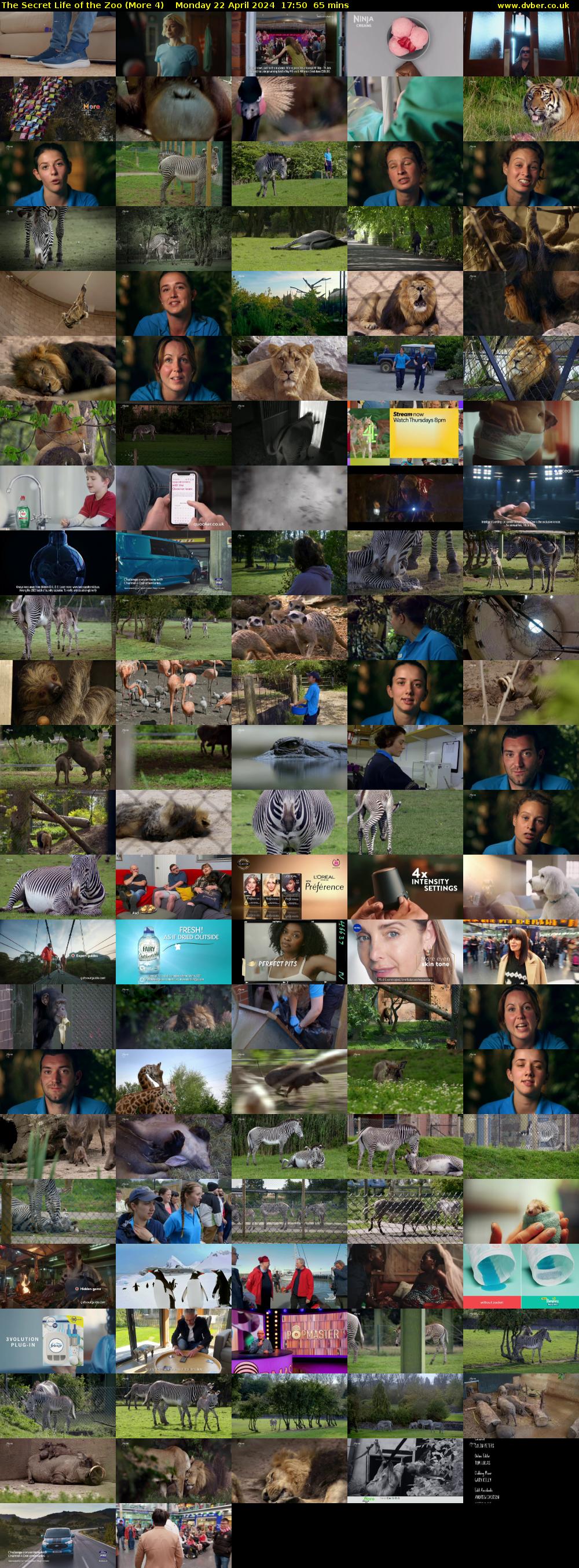 The Secret Life of the Zoo (More 4) Monday 22 April 2024 17:50 - 18:55