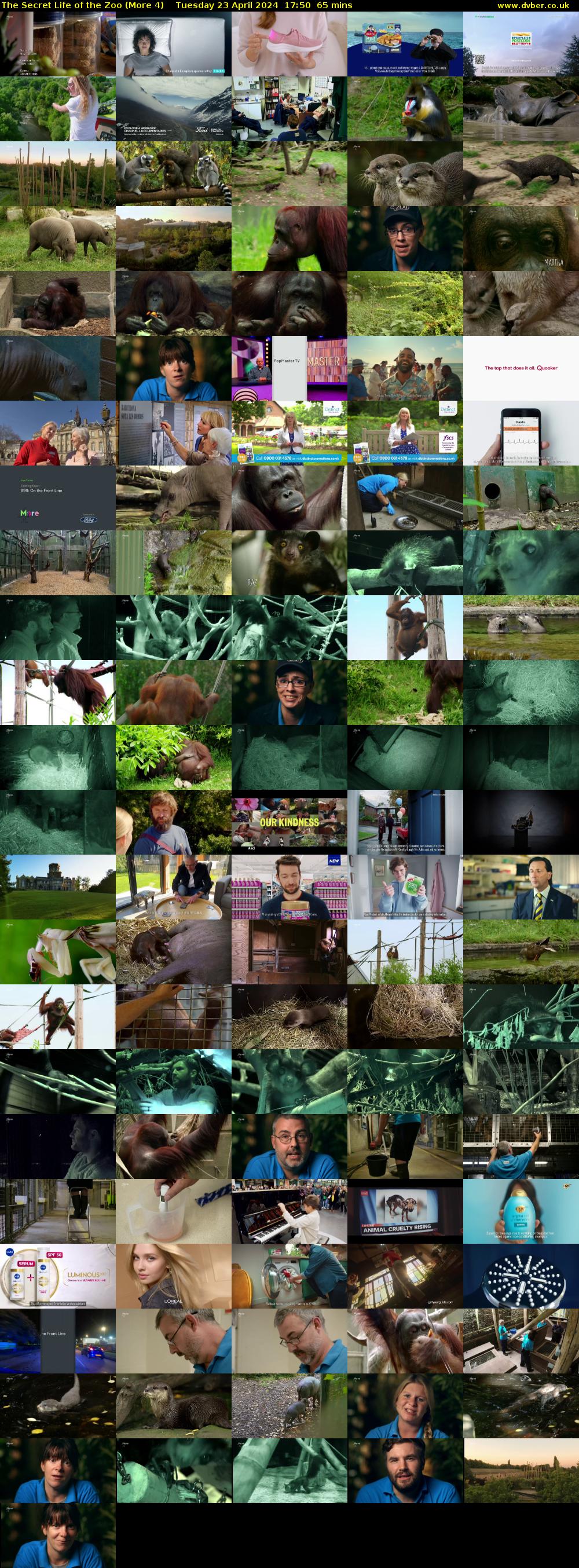 The Secret Life of the Zoo (More 4) Tuesday 23 April 2024 17:50 - 18:55