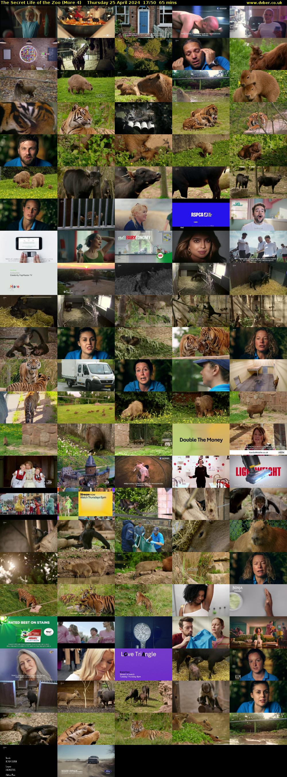 The Secret Life of the Zoo (More 4) Thursday 25 April 2024 17:50 - 18:55