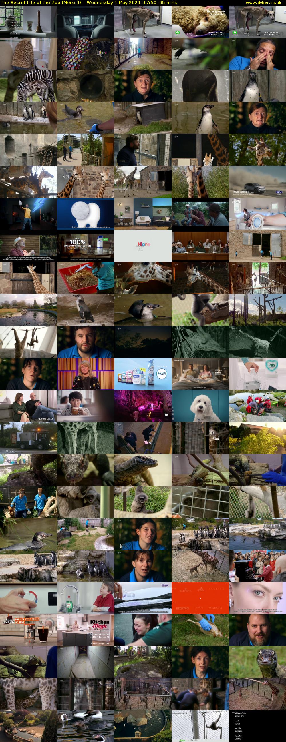 The Secret Life of the Zoo (More 4) Wednesday 1 May 2024 17:50 - 18:55