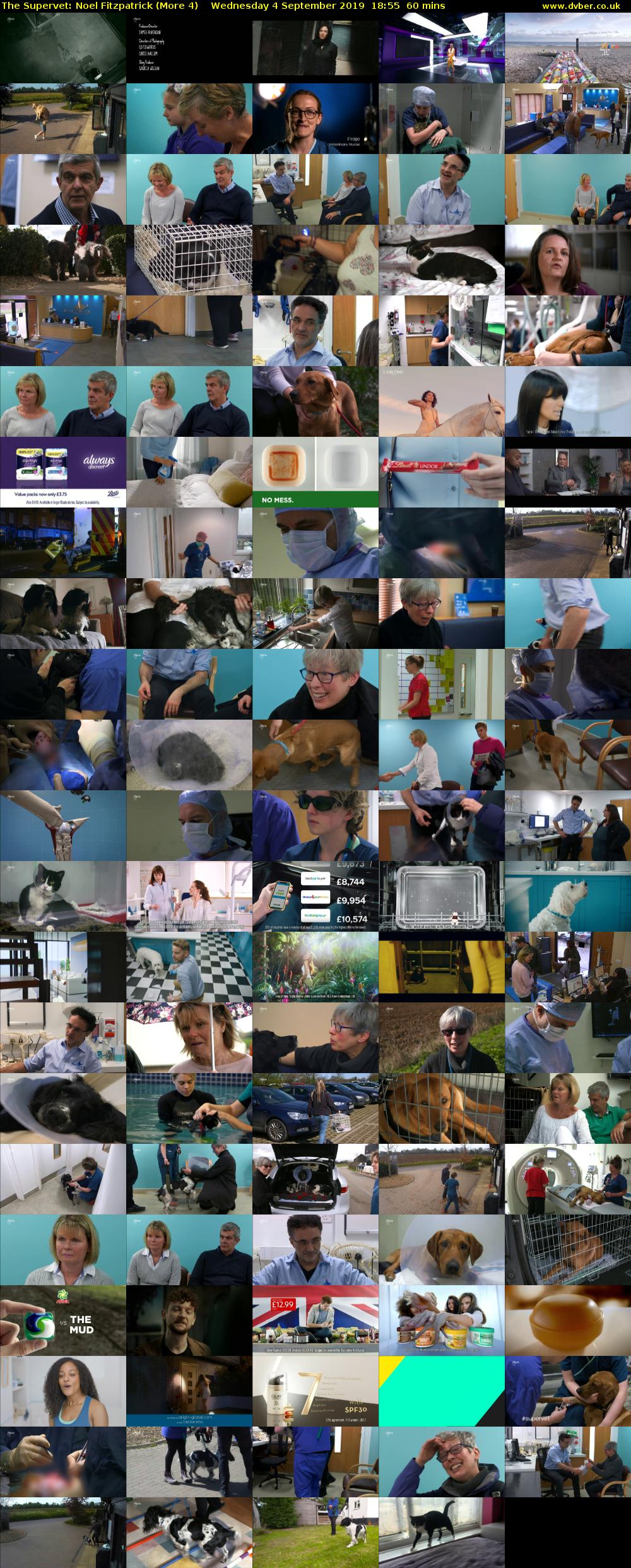 The Supervet: Noel Fitzpatrick (More 4) Wednesday 4 September 2019 18:55 - 19:55