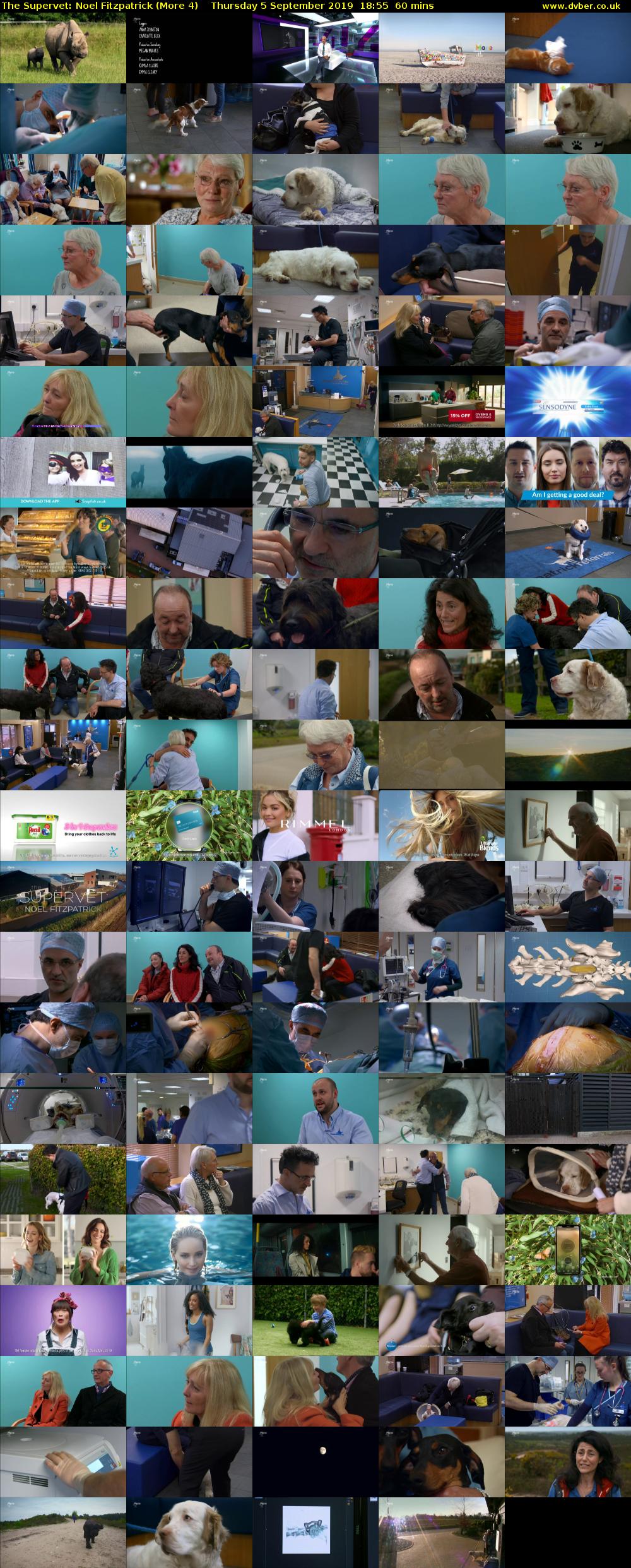 The Supervet: Noel Fitzpatrick (More 4) Thursday 5 September 2019 18:55 - 19:55