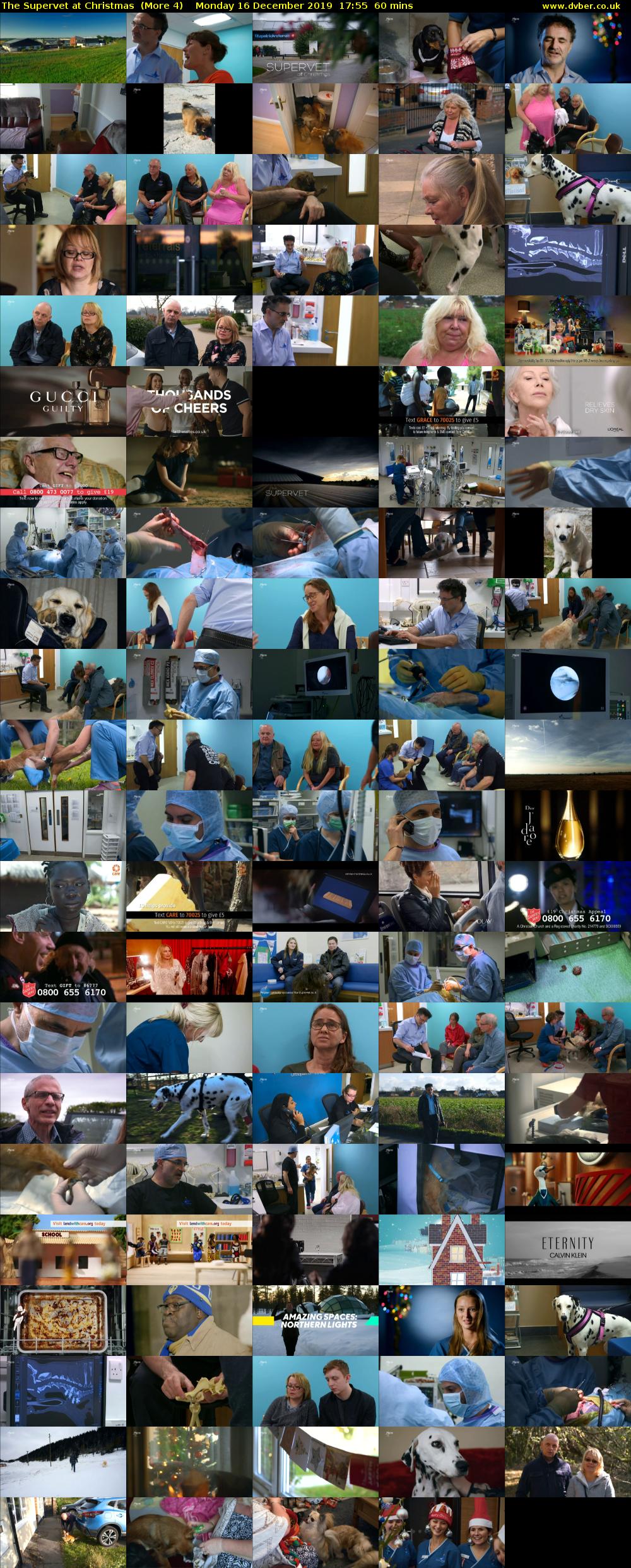 The Supervet at Christmas  (More 4) Monday 16 December 2019 17:55 - 18:55
