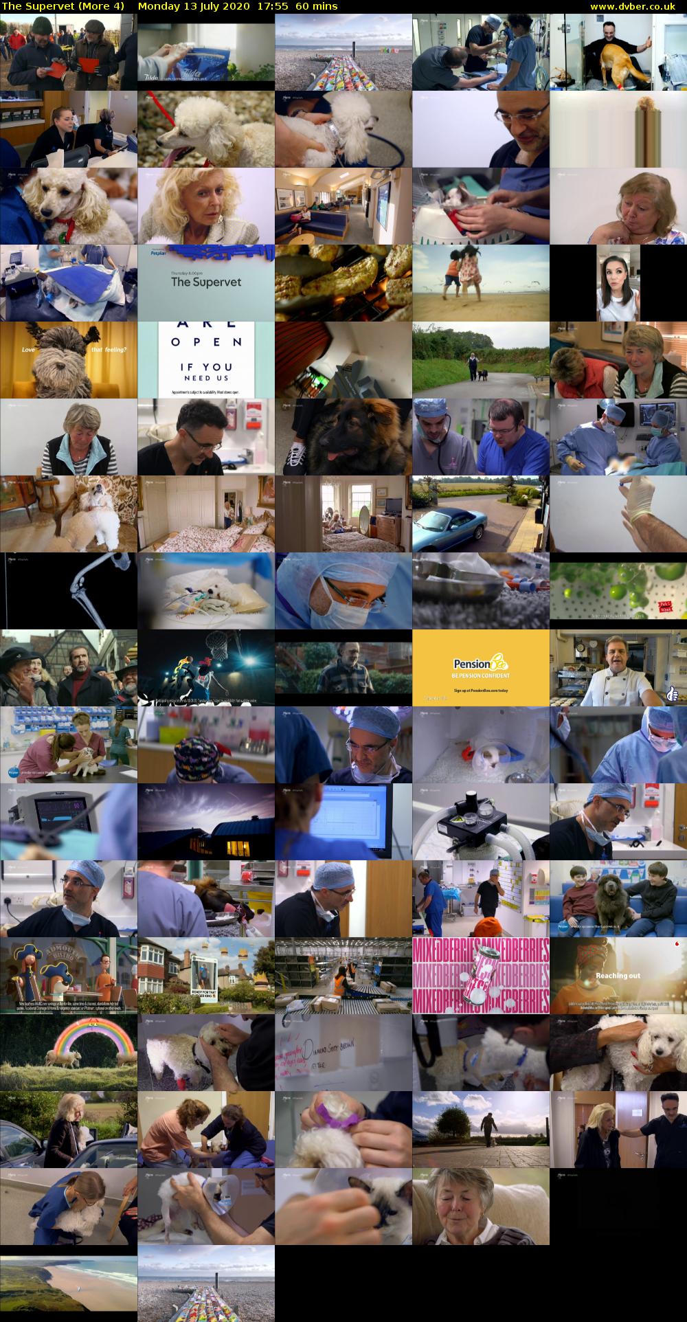 The Supervet (More 4) Monday 13 July 2020 17:55 - 18:55