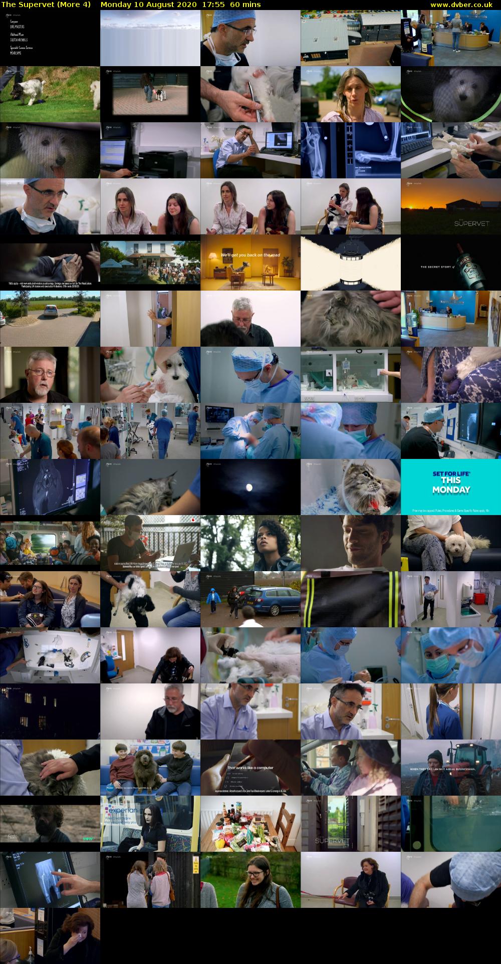 The Supervet (More 4) Monday 10 August 2020 17:55 - 18:55