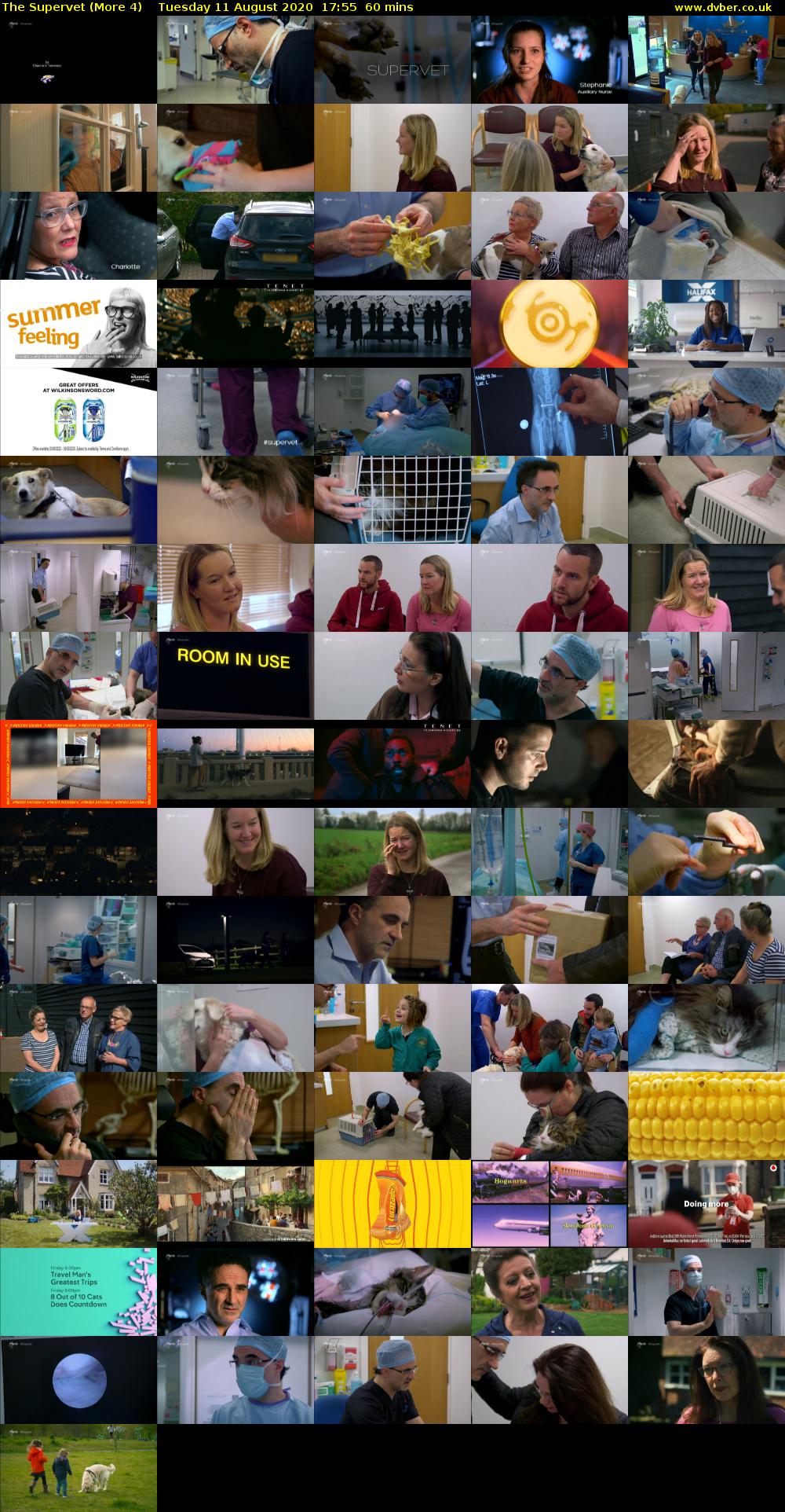 The Supervet (More 4) Tuesday 11 August 2020 17:55 - 18:55